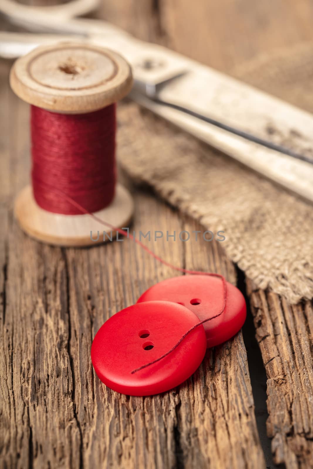 red thread with buttons and scissors by MegaArt