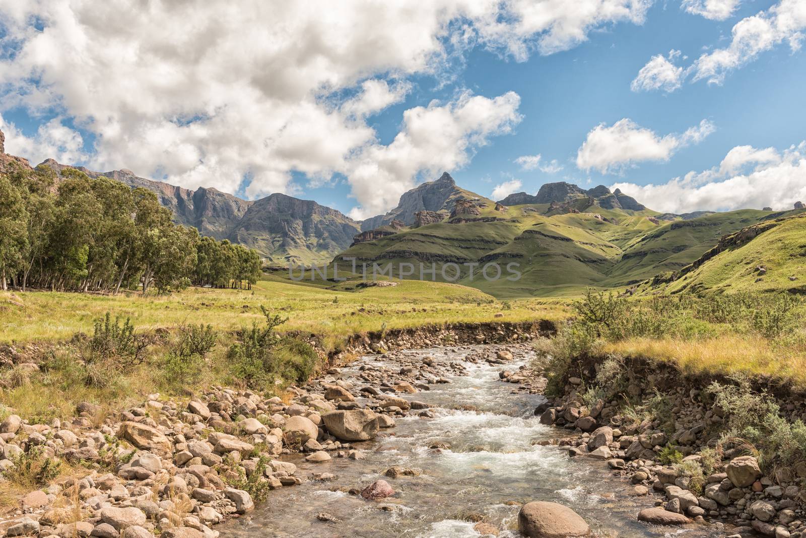 Garden Castle in the Drakensberg near Underberg. Hermits Wood Camp Site is visible between the trees and the Mlambonja River in front. Rhino Peak (3056m) is visible in the back