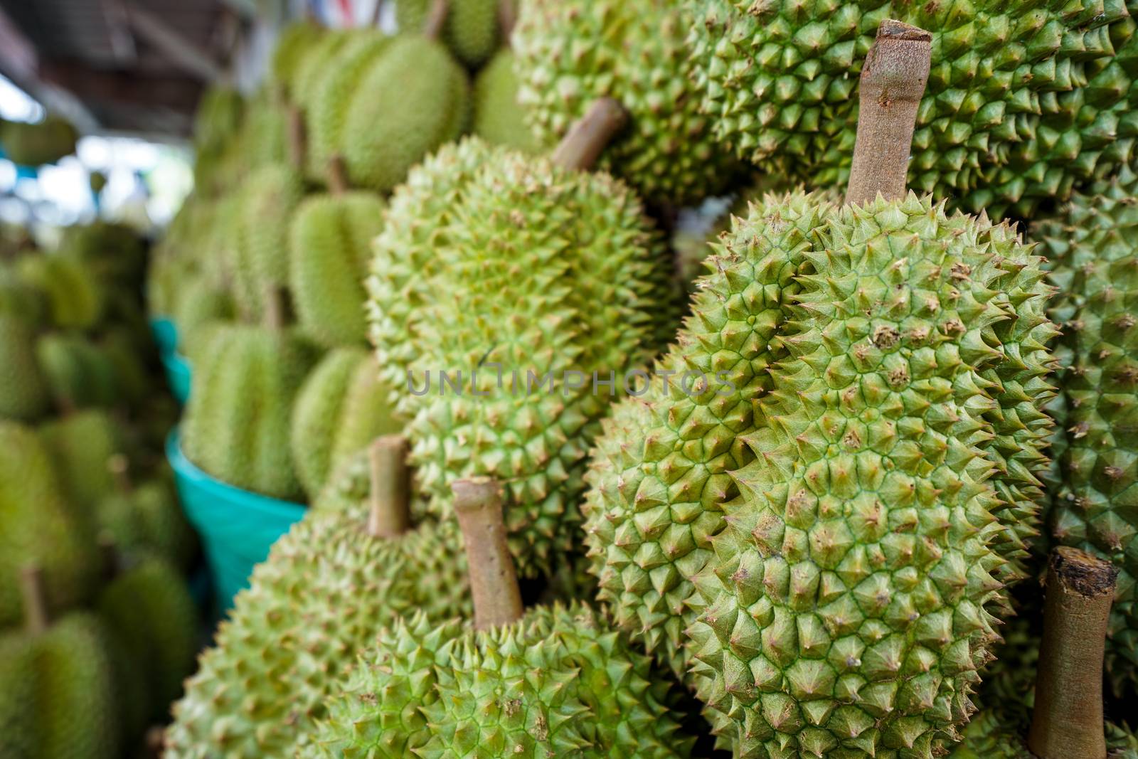 Durian on the basket is shelf in thai fruit market