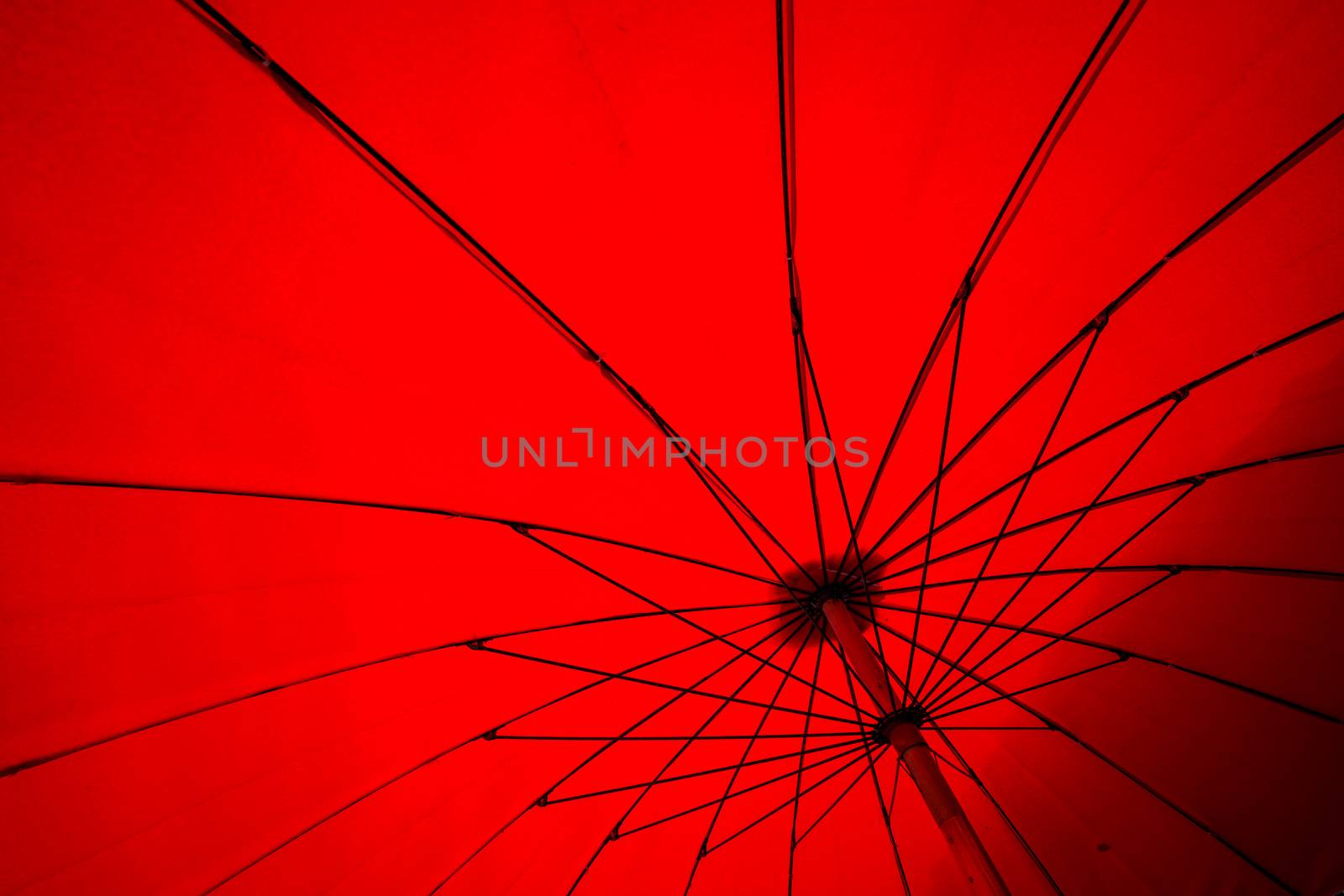 red umbrella canvas by antpkr