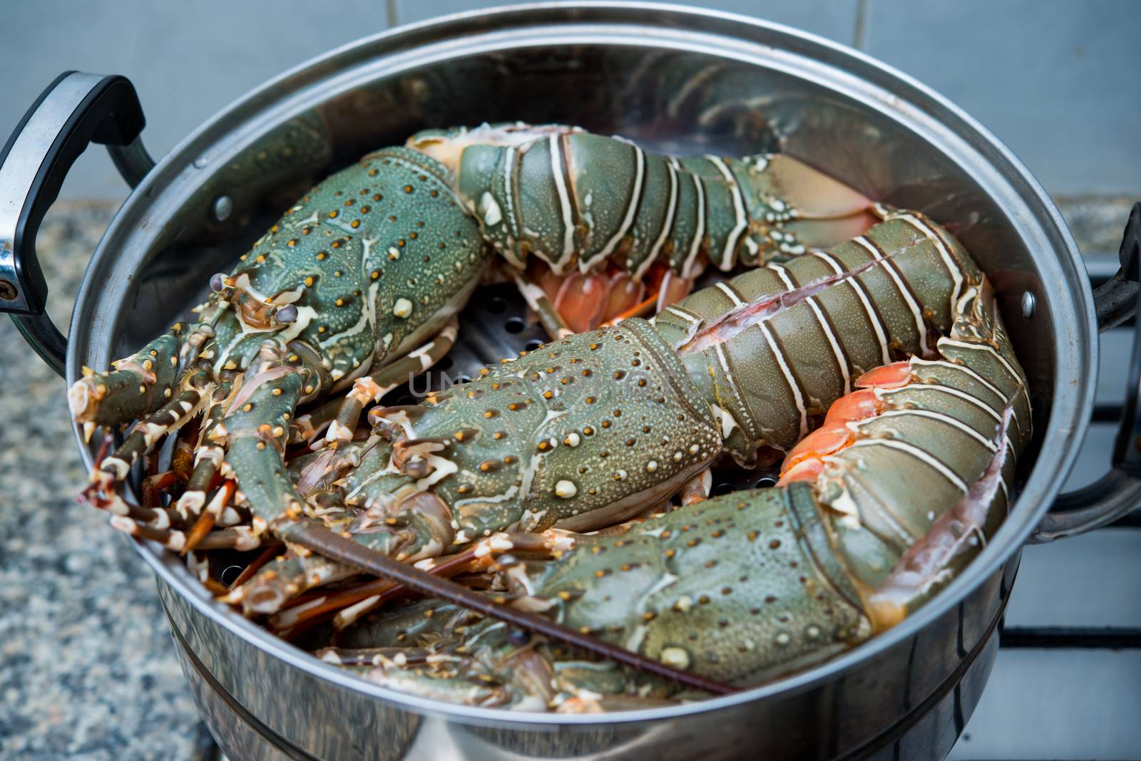 raw lobster in the iron steamer by antpkr