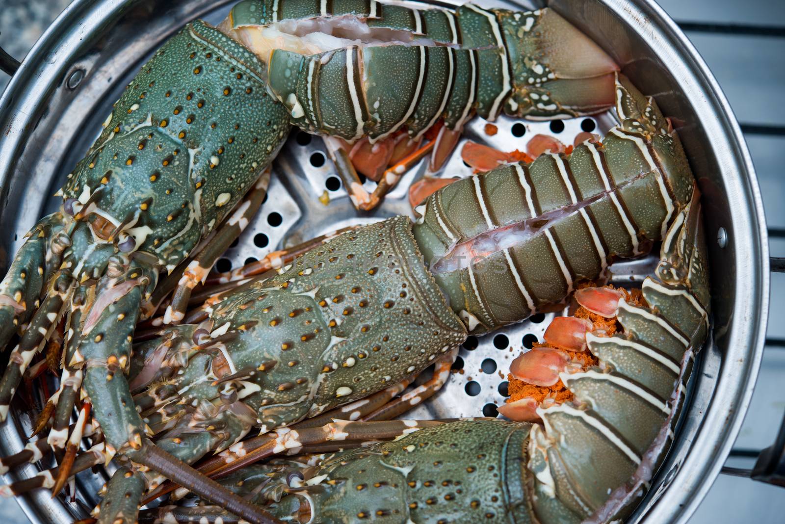 raw lobster in the iron steamer by antpkr