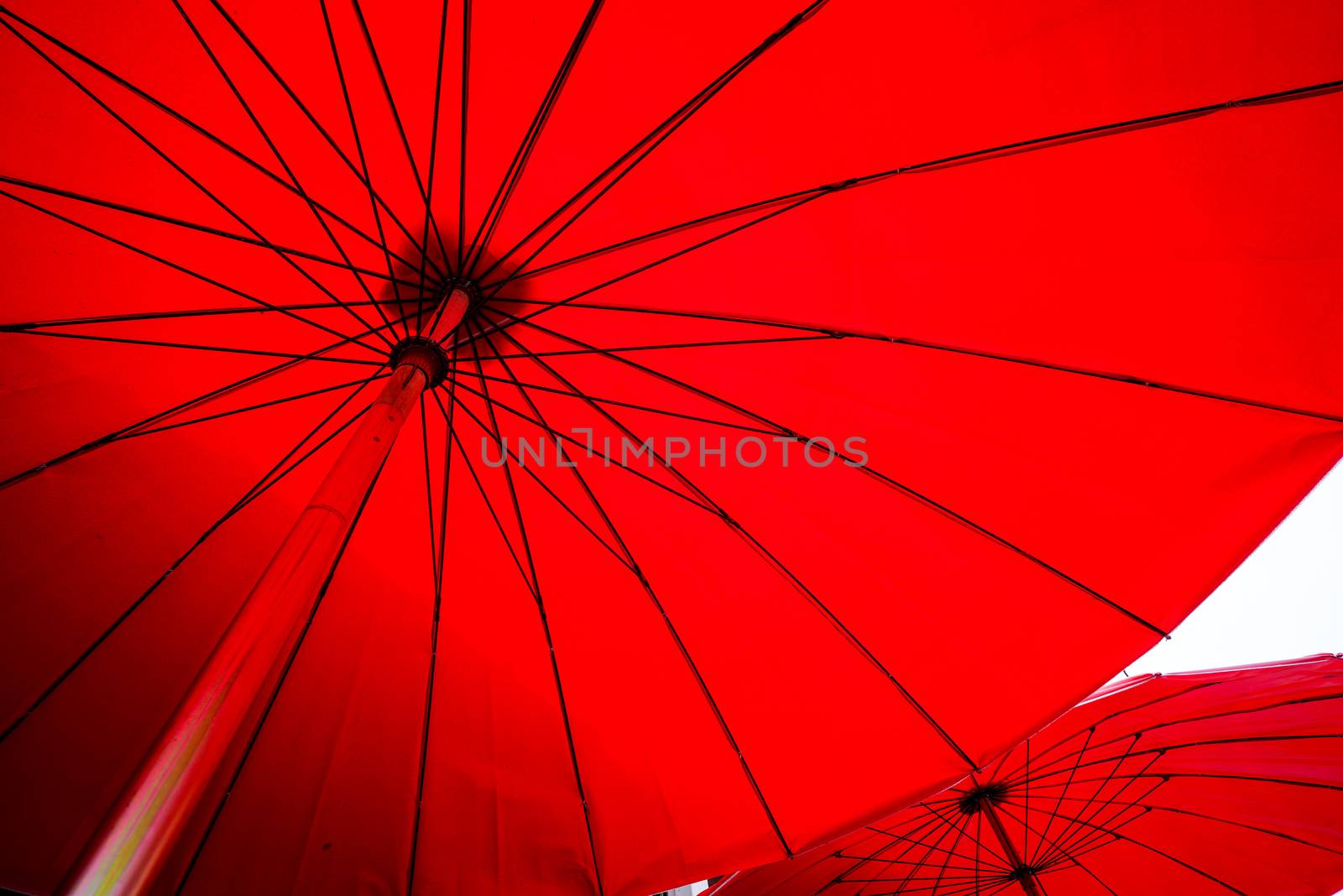 under red umbrella canvas