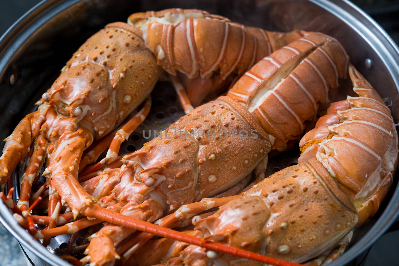 steam lobster in the iron steamer