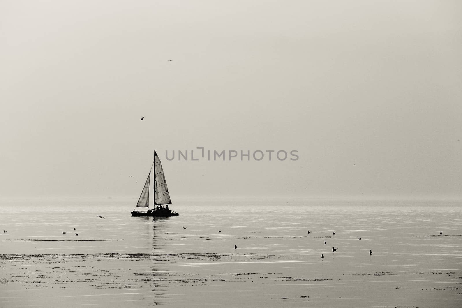 sailing ship in the open sea. black and white. a photo