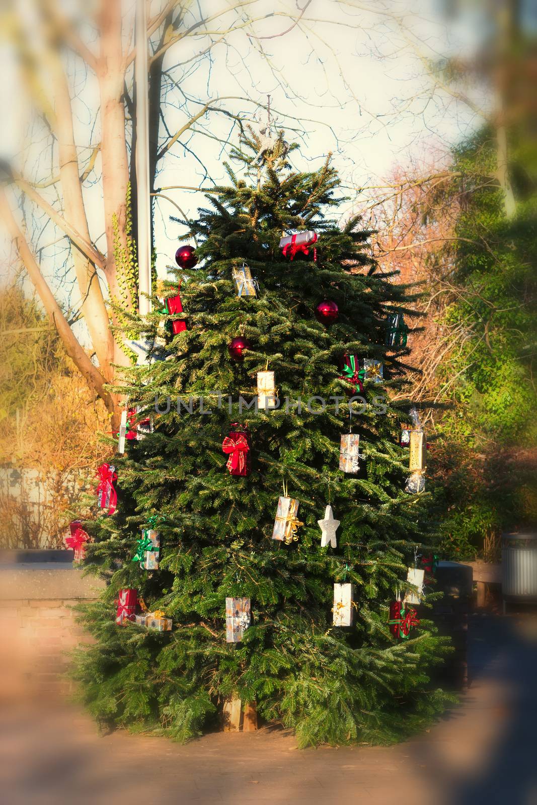 Beautiful christmas tree with gift boxes and shopping bags 