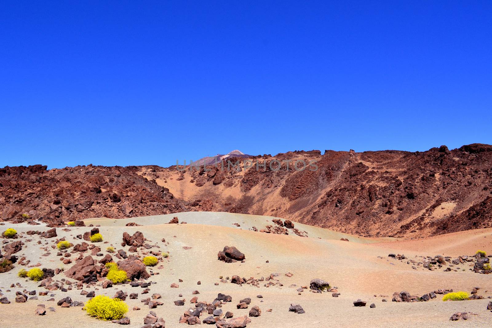 Rocky volcanic landscape of the caldera of Teide National Park Tenerife Spain