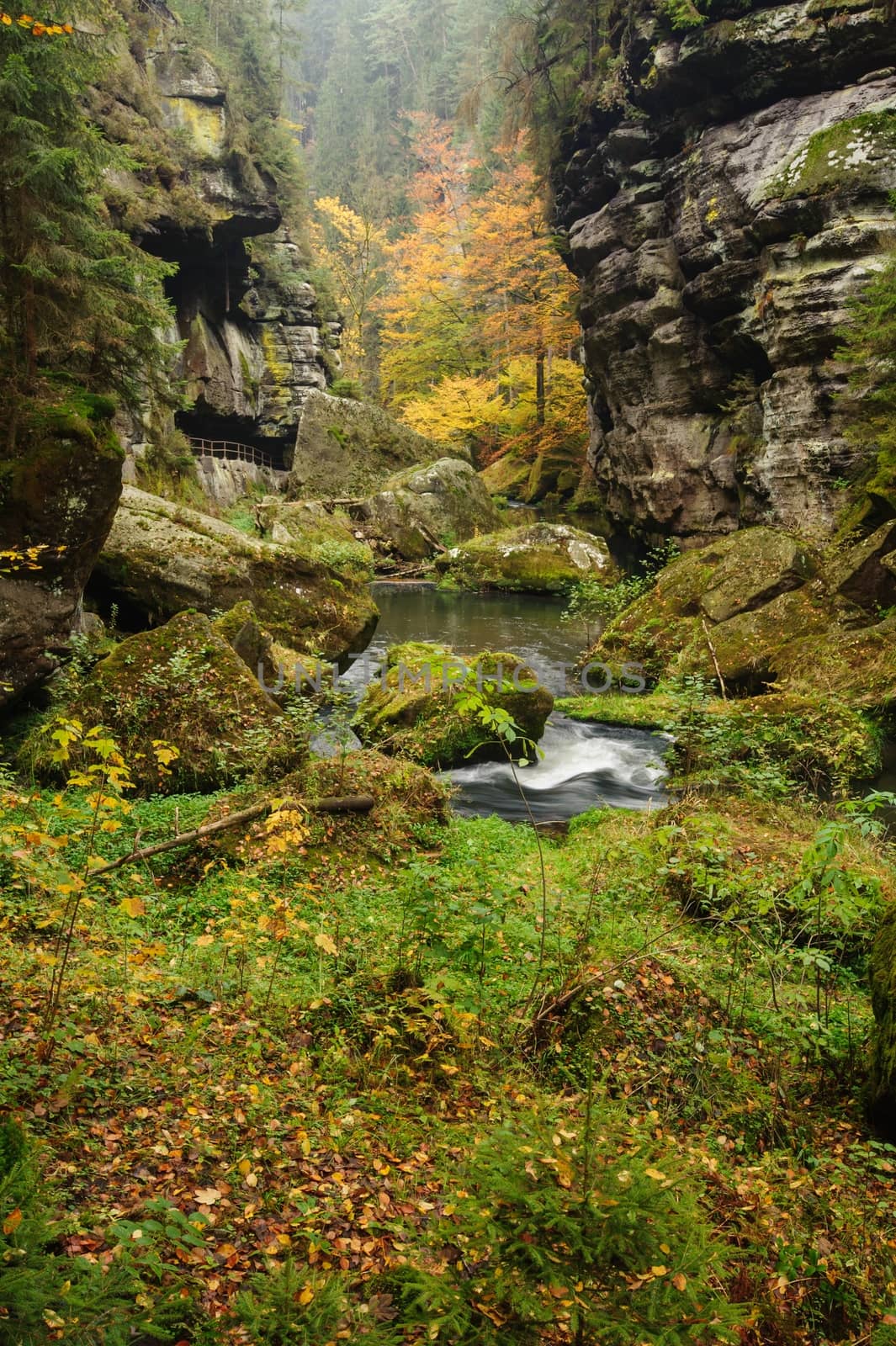 Autumn colored trees, leaves, rocks around the beautiful river