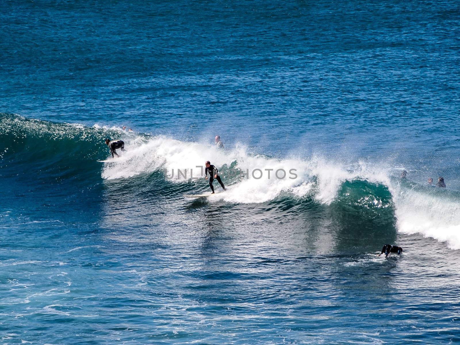Surfer riding the waves in Bells Beach, Torquay, Australia