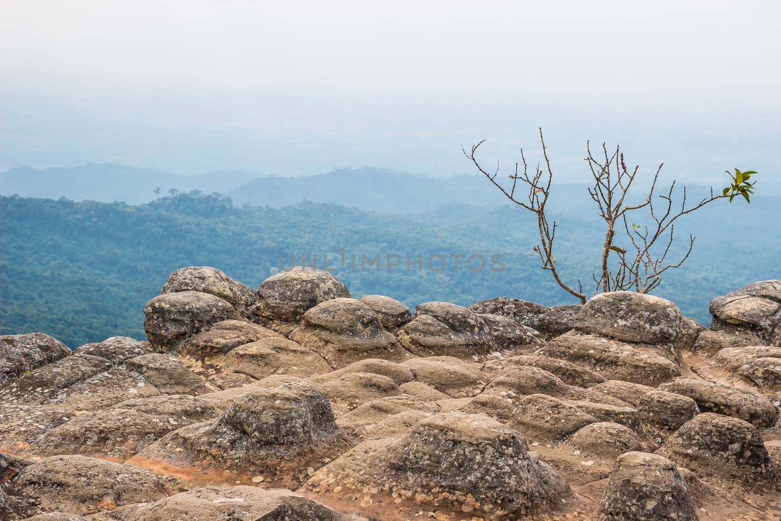 Lan Hin Pum at Phu Hin Rong Kla national park in Phitsanulok, Thailand