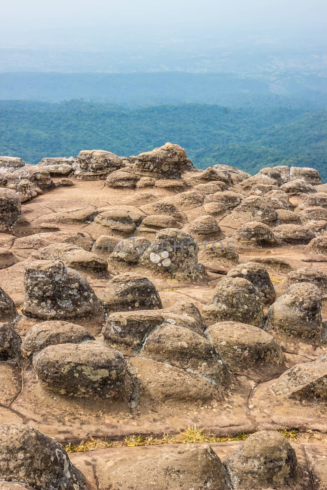 Lan Hin Pum at Phu Hin Rong Kla national park in Phitsanulok, Thailand