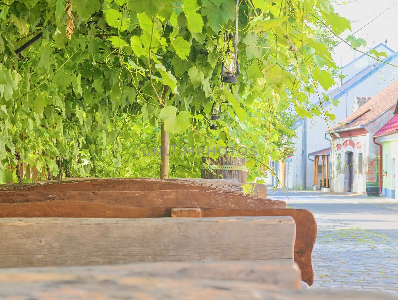 Wine background and benches. View on wine cellars in Europe. Czech Republic, South Moravia. 