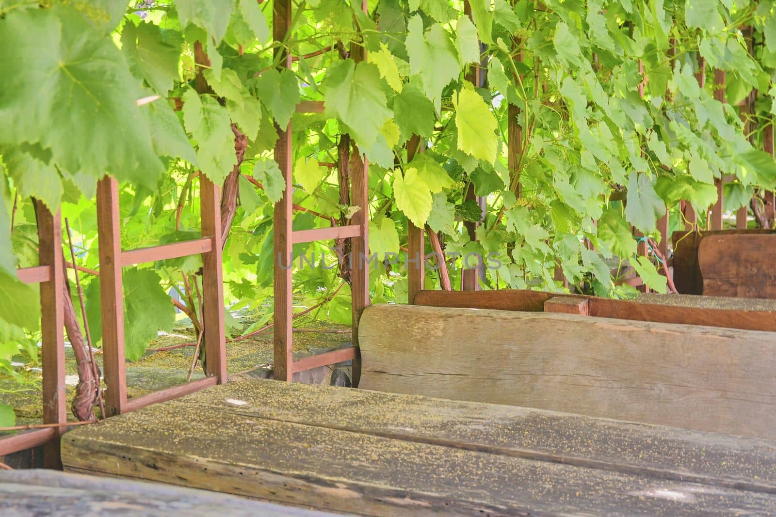 Wine background and benches. View on wine cellars in Europe. Czech Republic, South Moravia. 