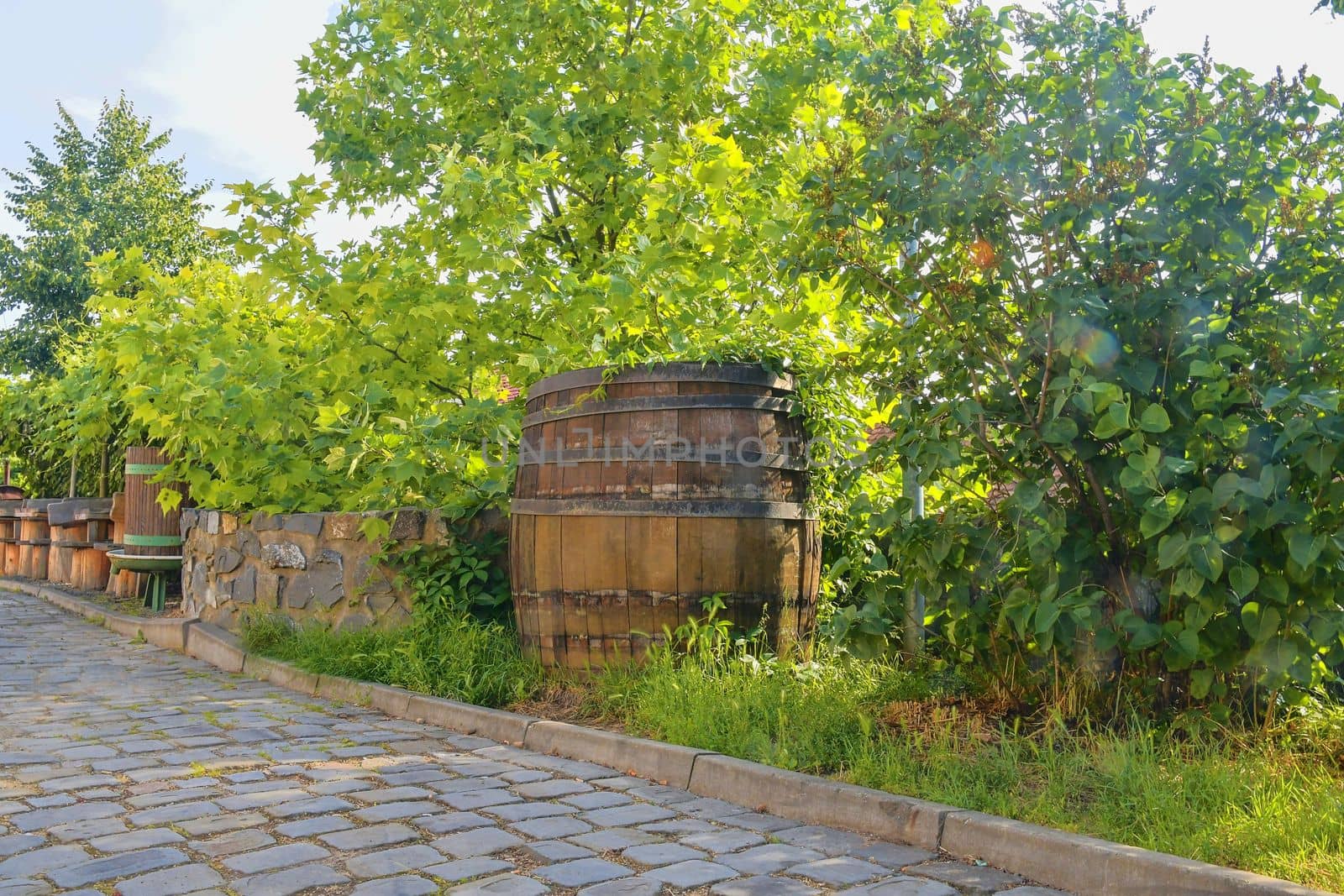 Old wine press and rustic wine barrel.. Wine background in Europe. Czech Republic, South Moravia by roman_nerud