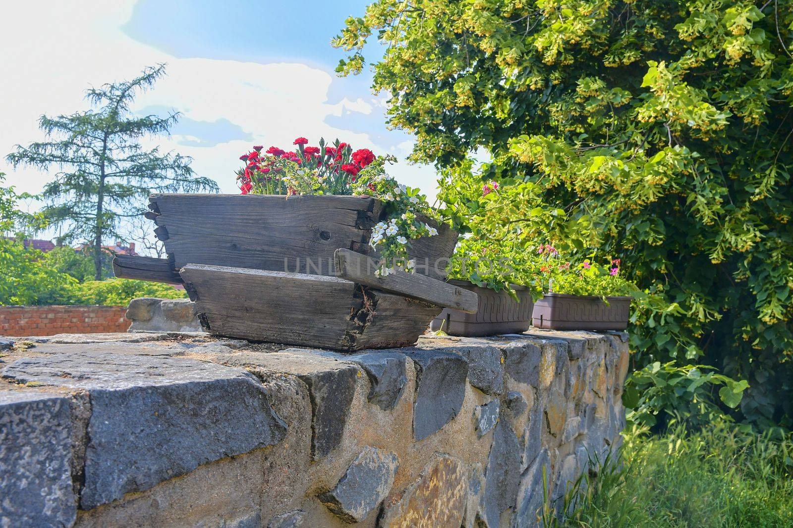 Old rustic wooden window box. Flowery background in Europe. Czech Republic, South Moravia by roman_nerud