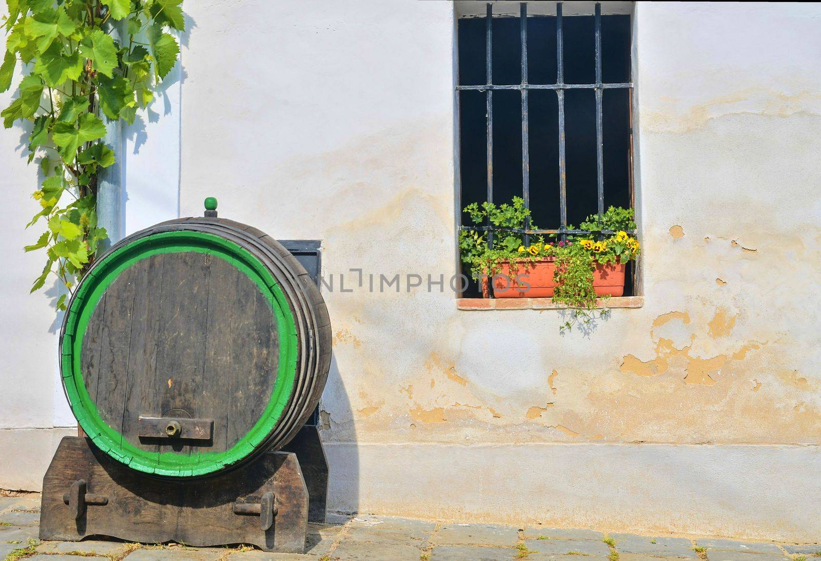 Old wooden barrel for wine. Classical wine cellar in Europe. Wine scenary. 