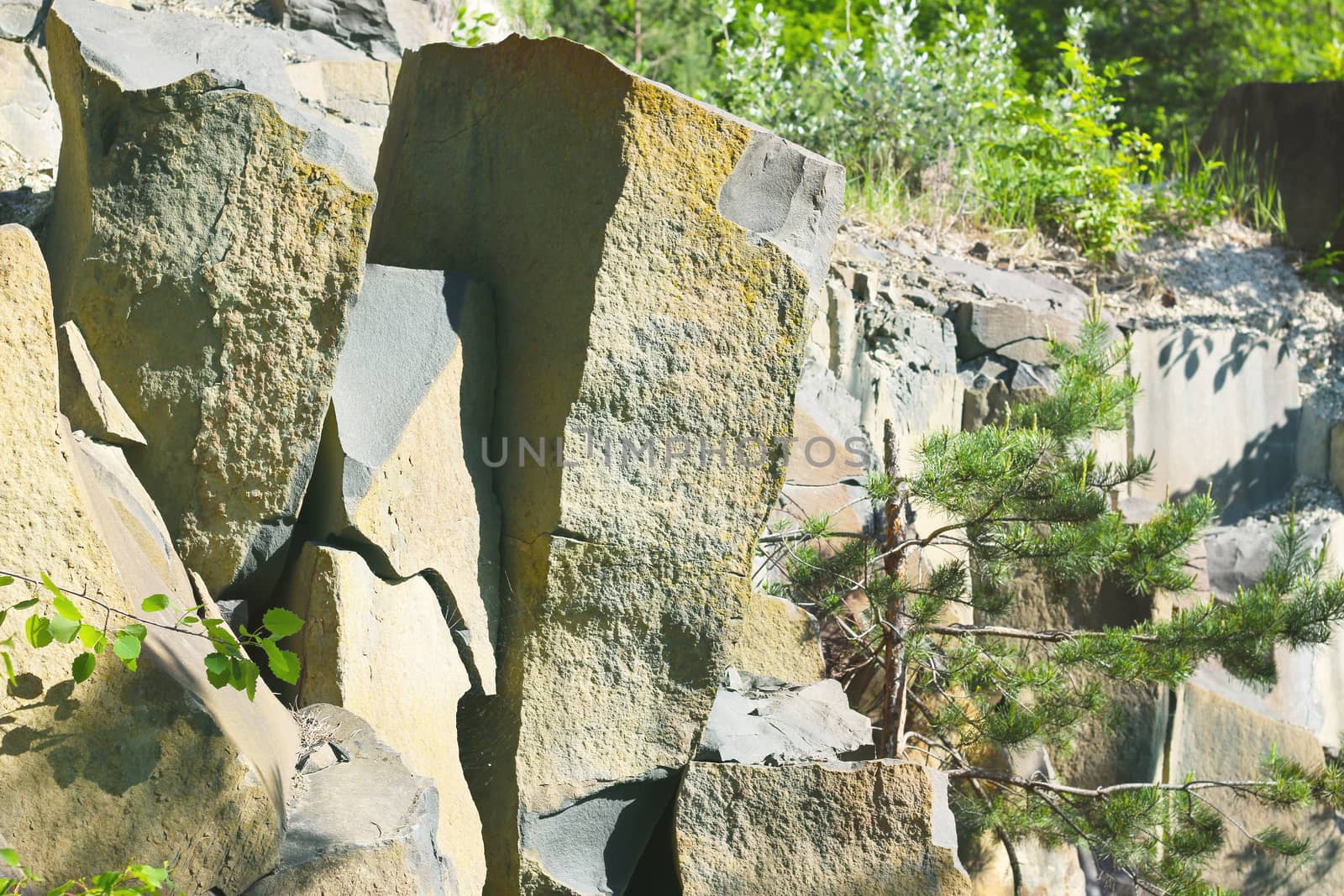 Basalt columns landscape rock background and plants