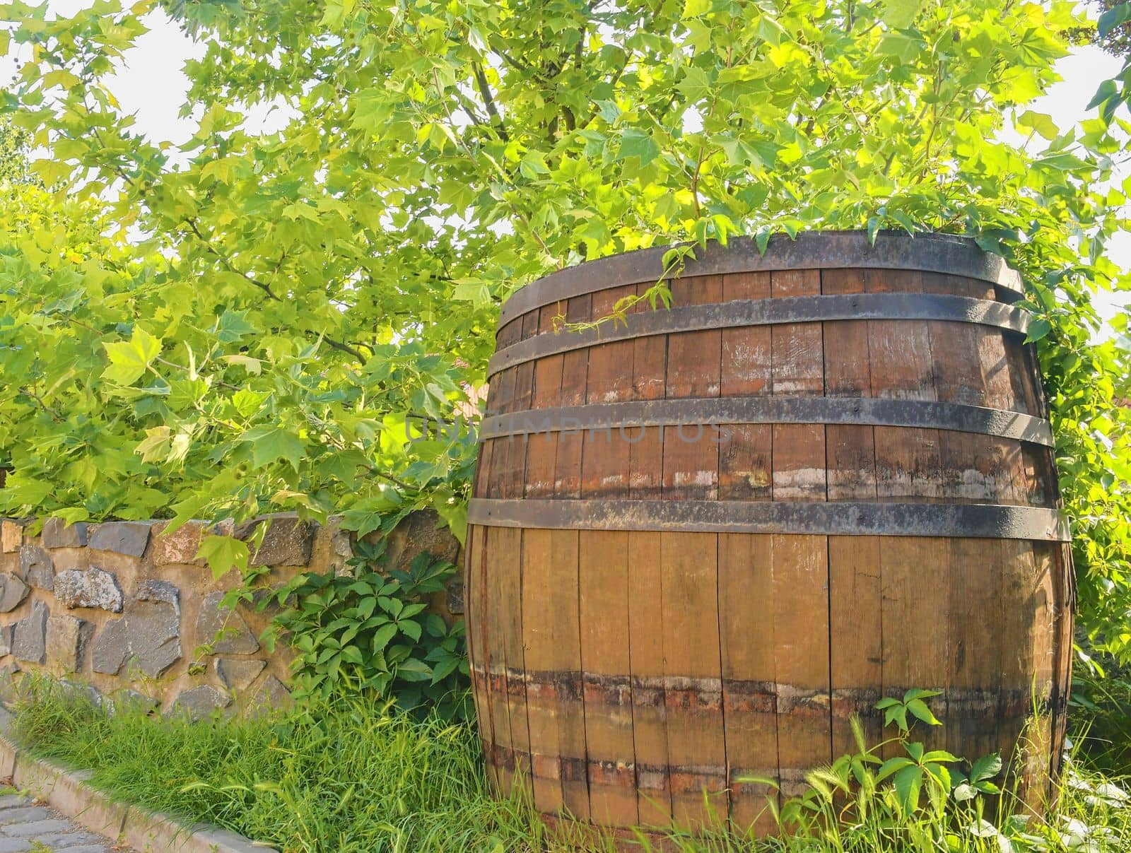 Old rustic wine barrel. Wine background in Europe. Czech Republic, South Moravia. 
