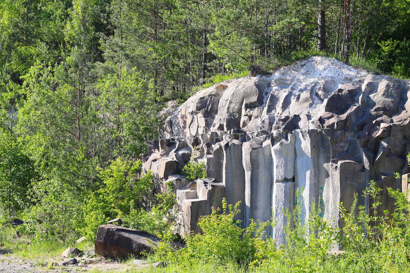 Basalt columns pile landscape rock and forest. Beautiful stone landscape