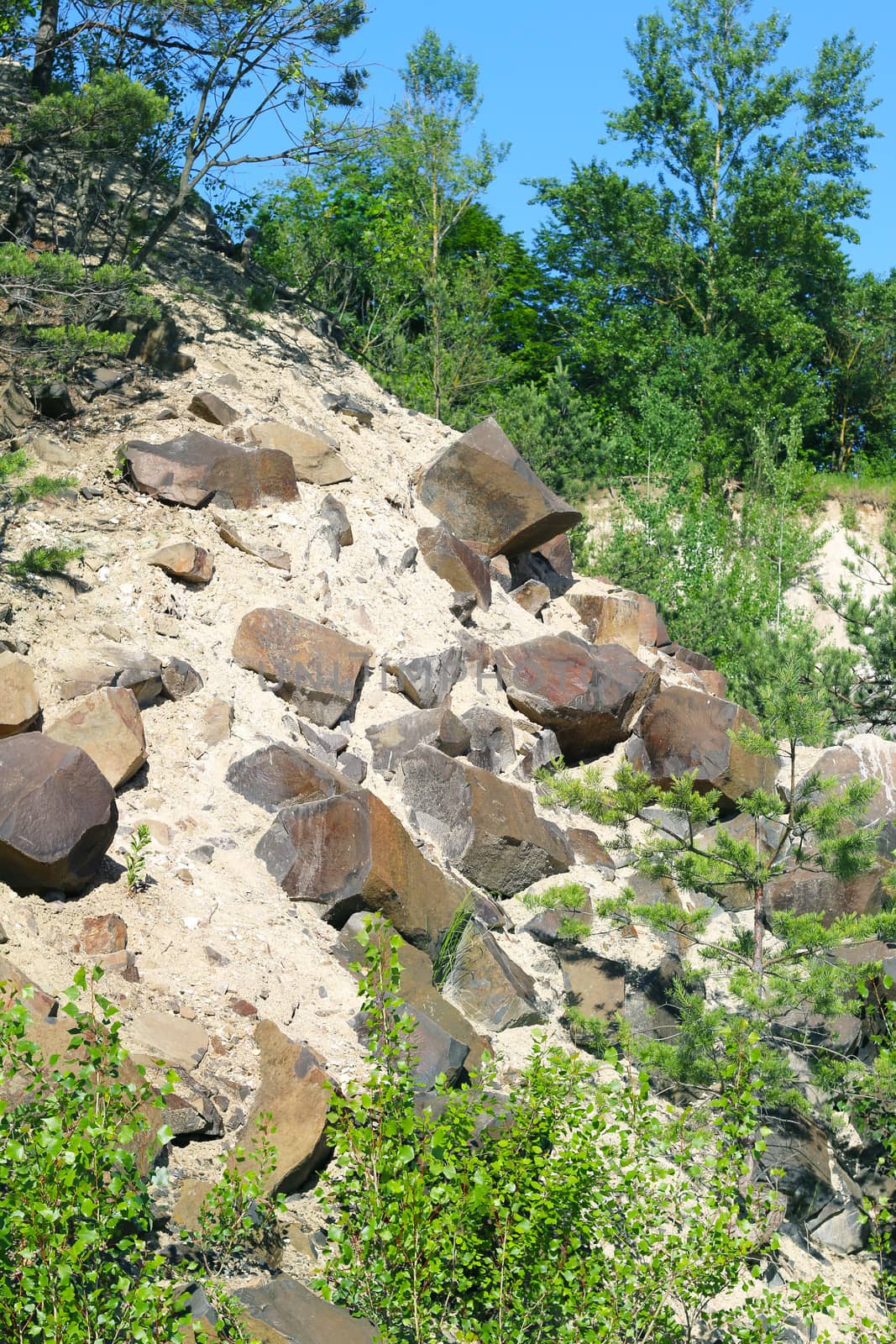 basalt stones and tree by romvo