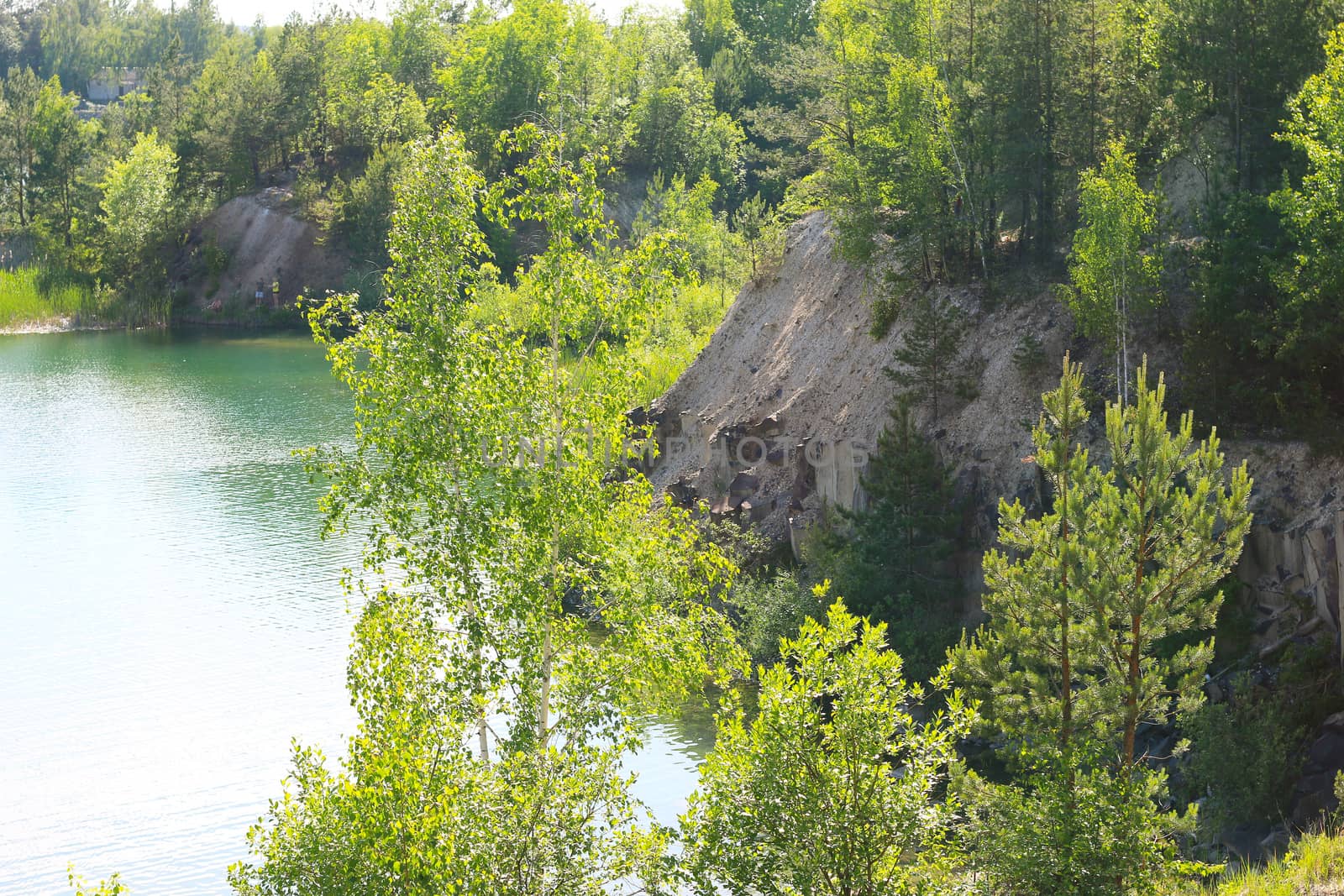 Lake and green trees view from above. Beautiful sunny landscape