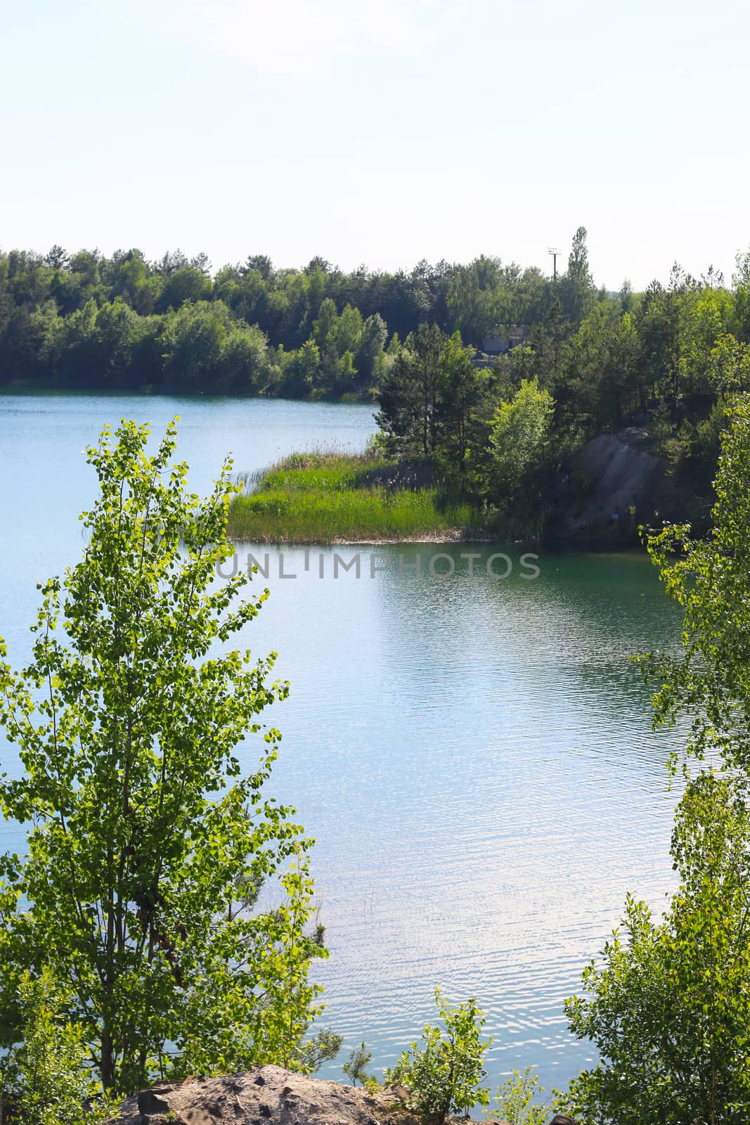 Lake and green forest trees view from above. Beautiful sunny landscape