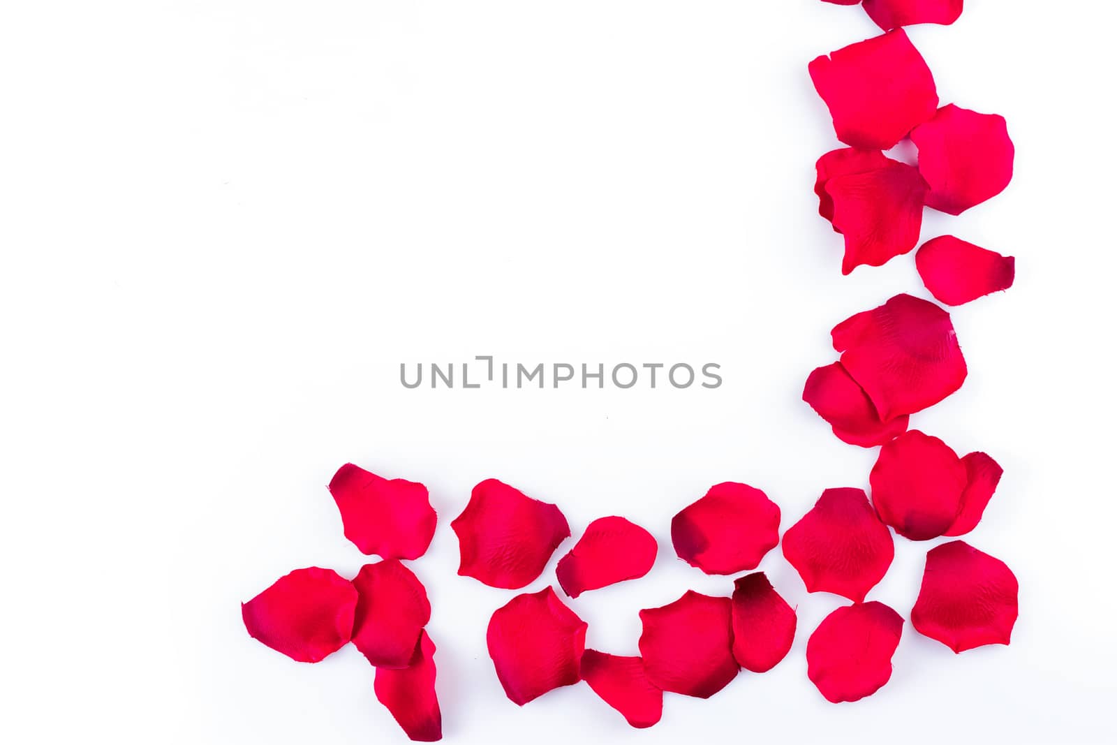 Frame of artificial rose petals on the white background