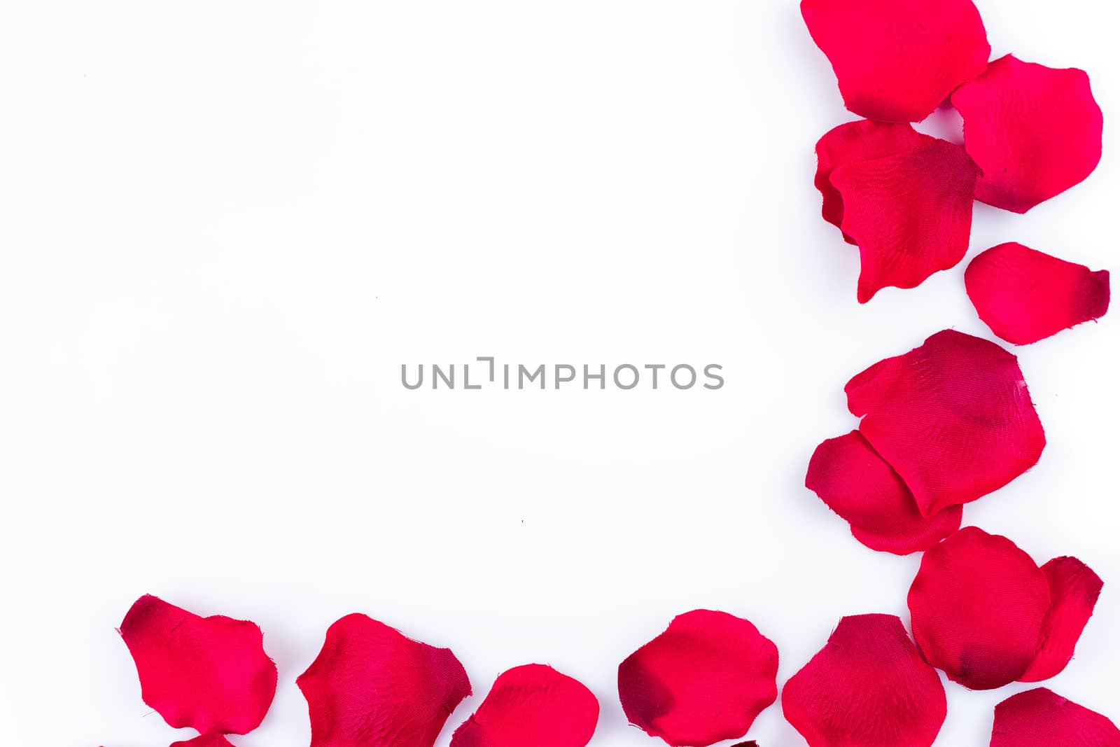 Frame of artificial rose petals on the white background