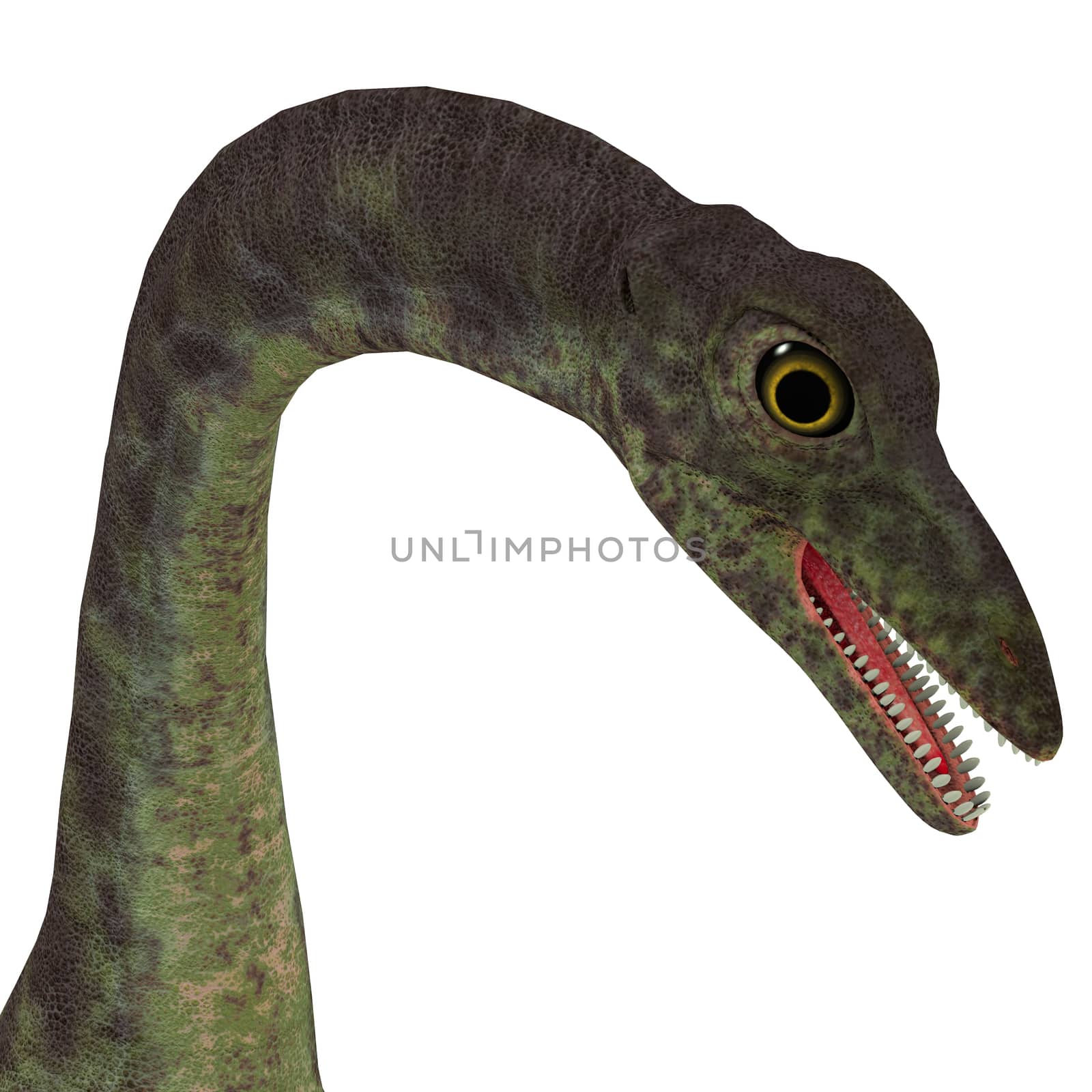 Anchisaurus Dinosaur Head by Catmando