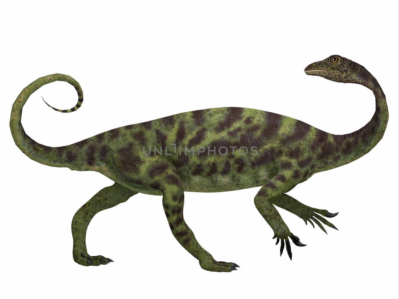 Anchisaurus Dinosaur Side Profile by Catmando