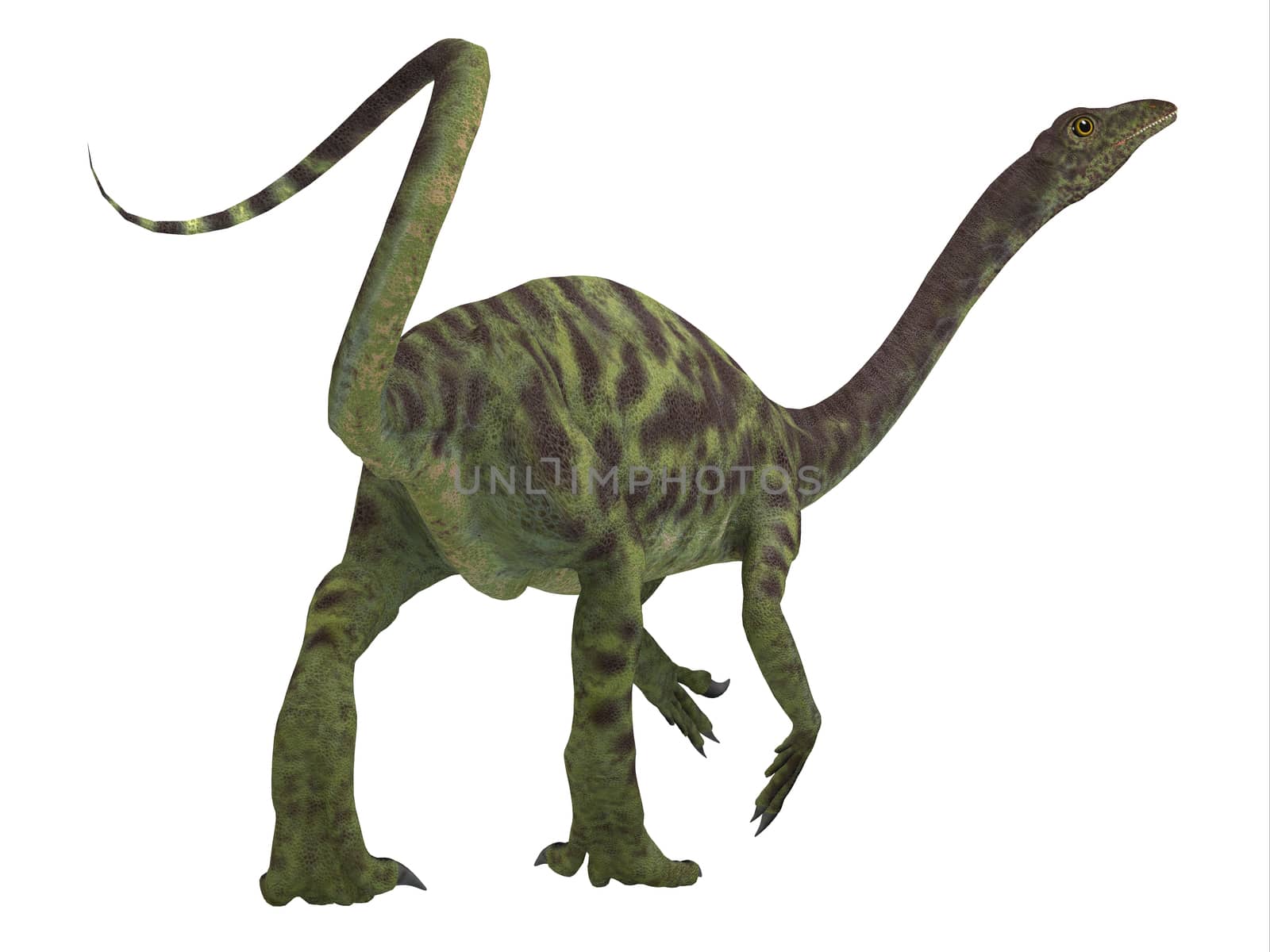 Anchisaurus Dinosaur Tail by Catmando