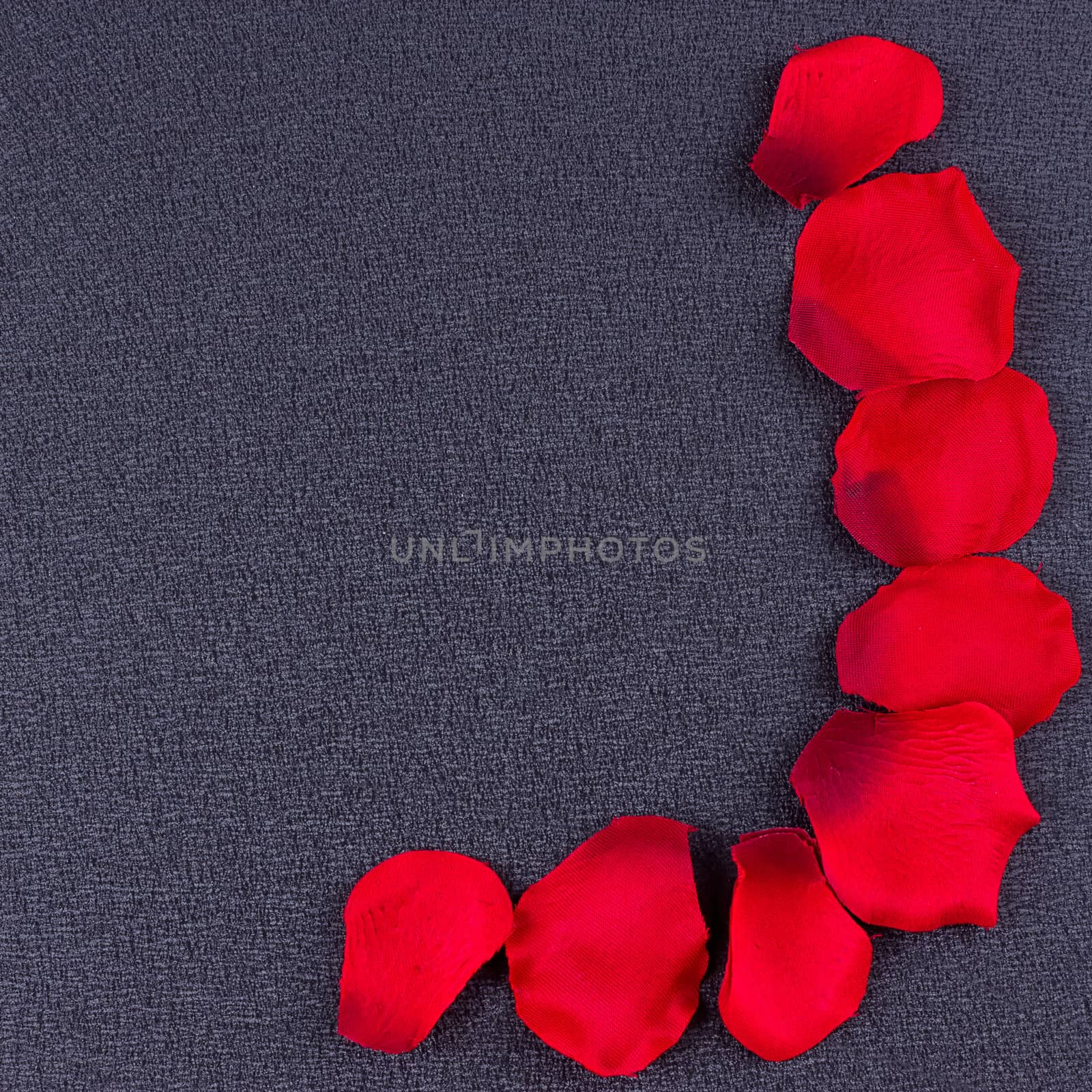 Artificial petals red roses black background frame
