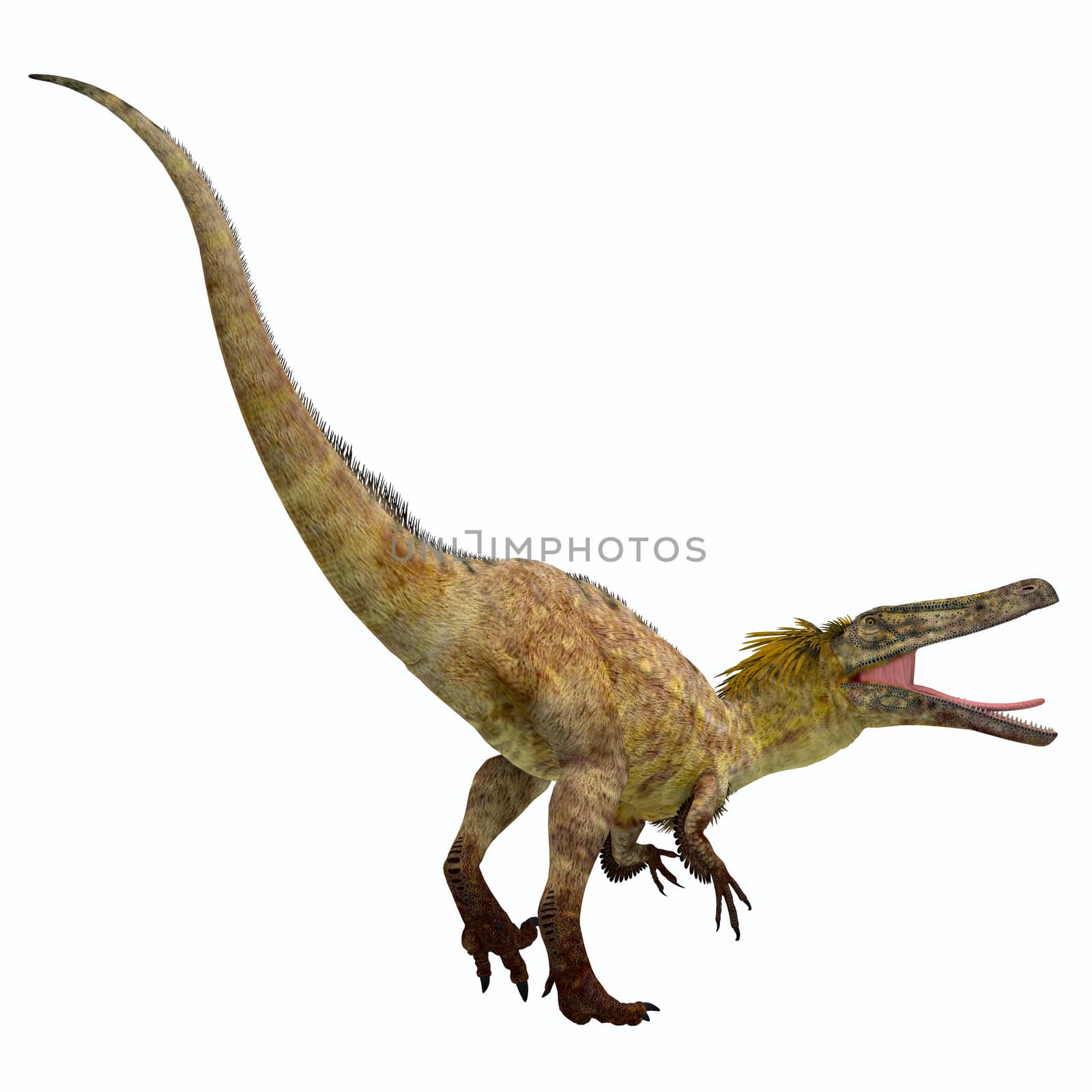 Austroraptor Dinosaur Tail by Catmando