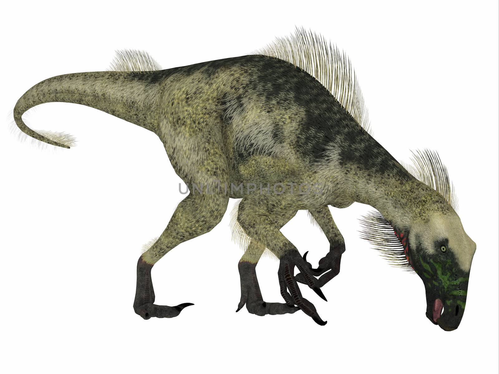Beipiaosaurus Dinosaur Side Profile by Catmando