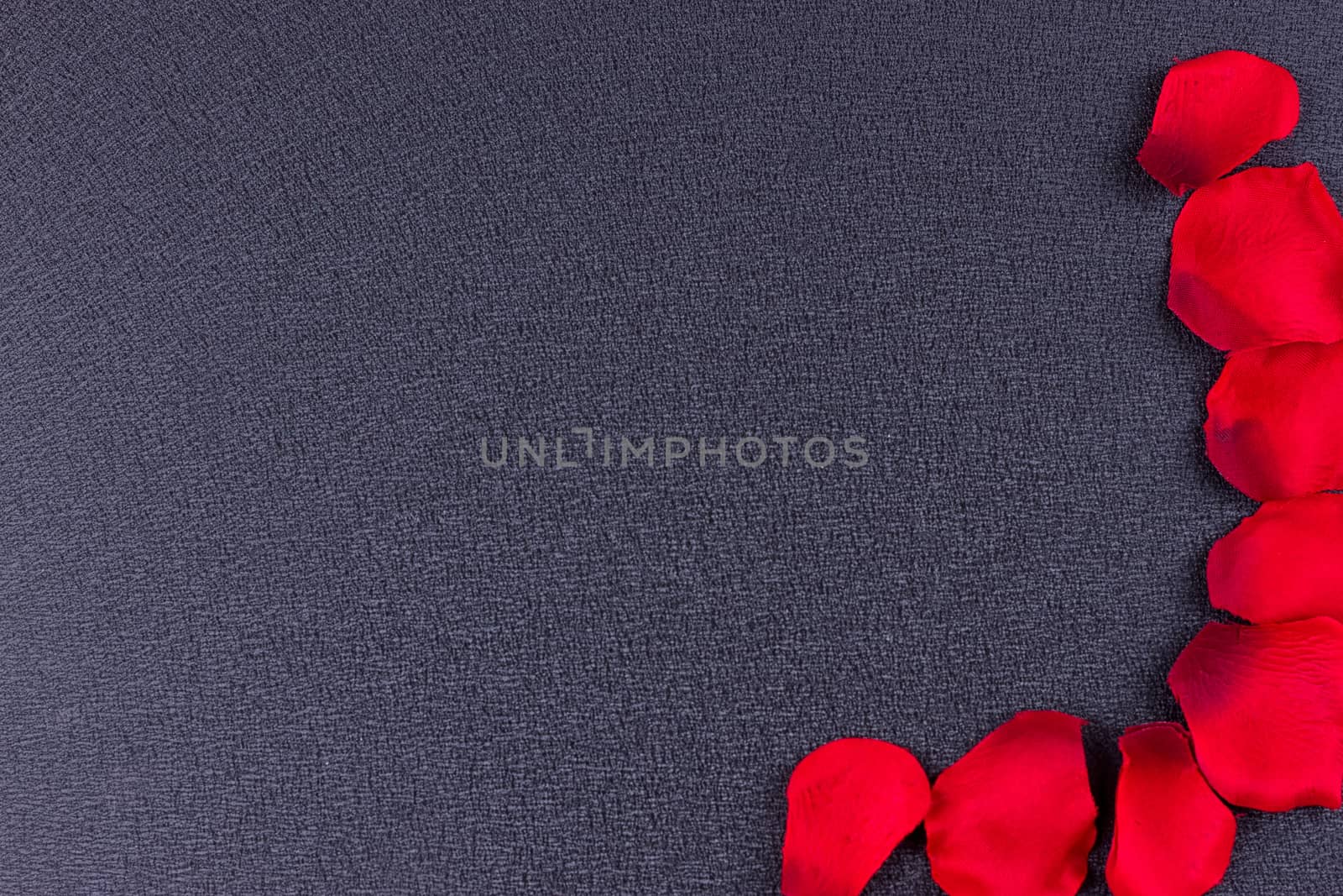 Artificial petals red roses black background frame