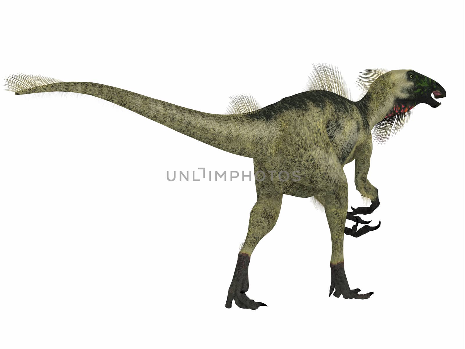 Beipiaosaurus Dinosaur Tail by Catmando