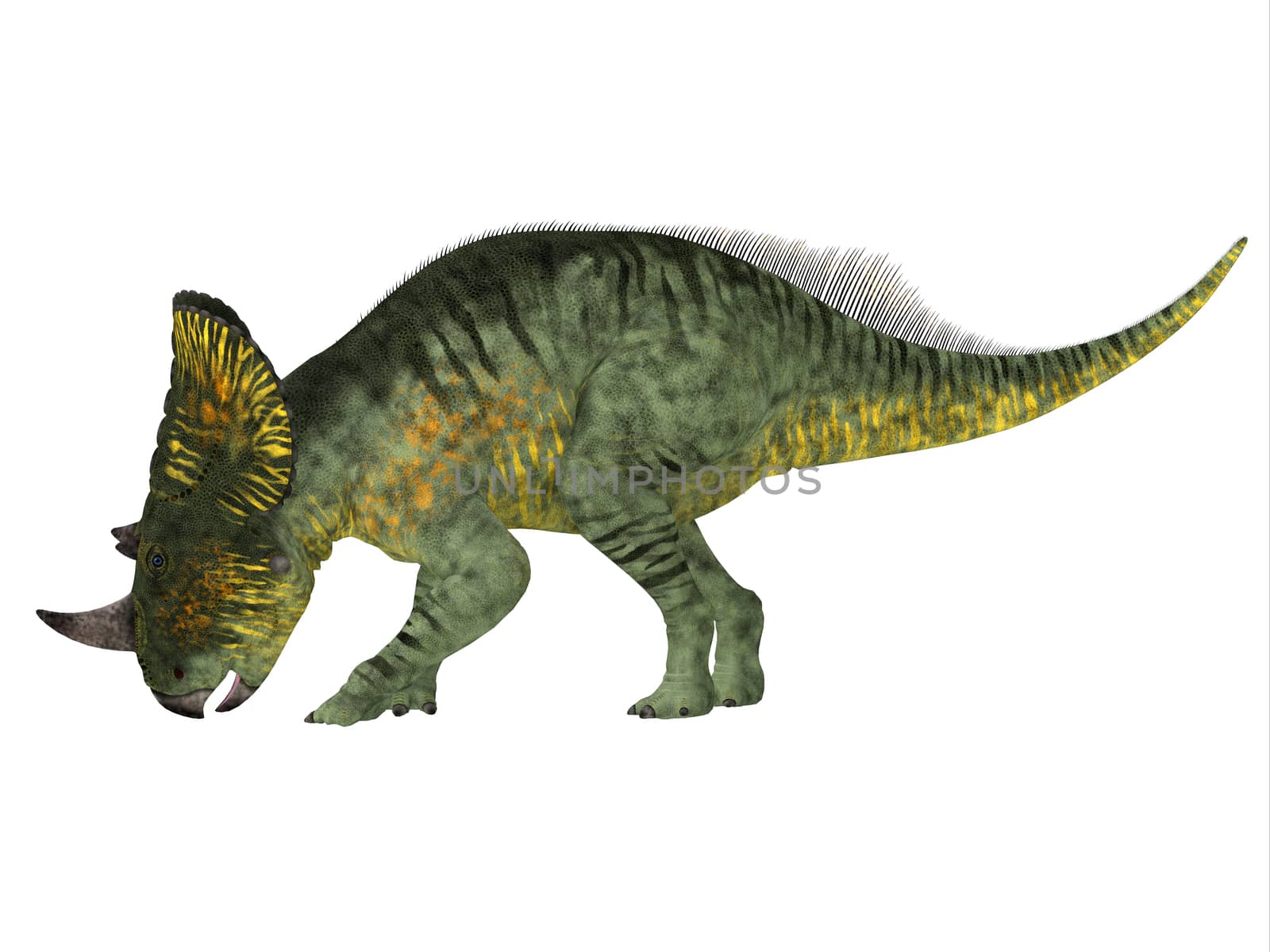 Brachyceratops Dinosaur Side Profile by Catmando