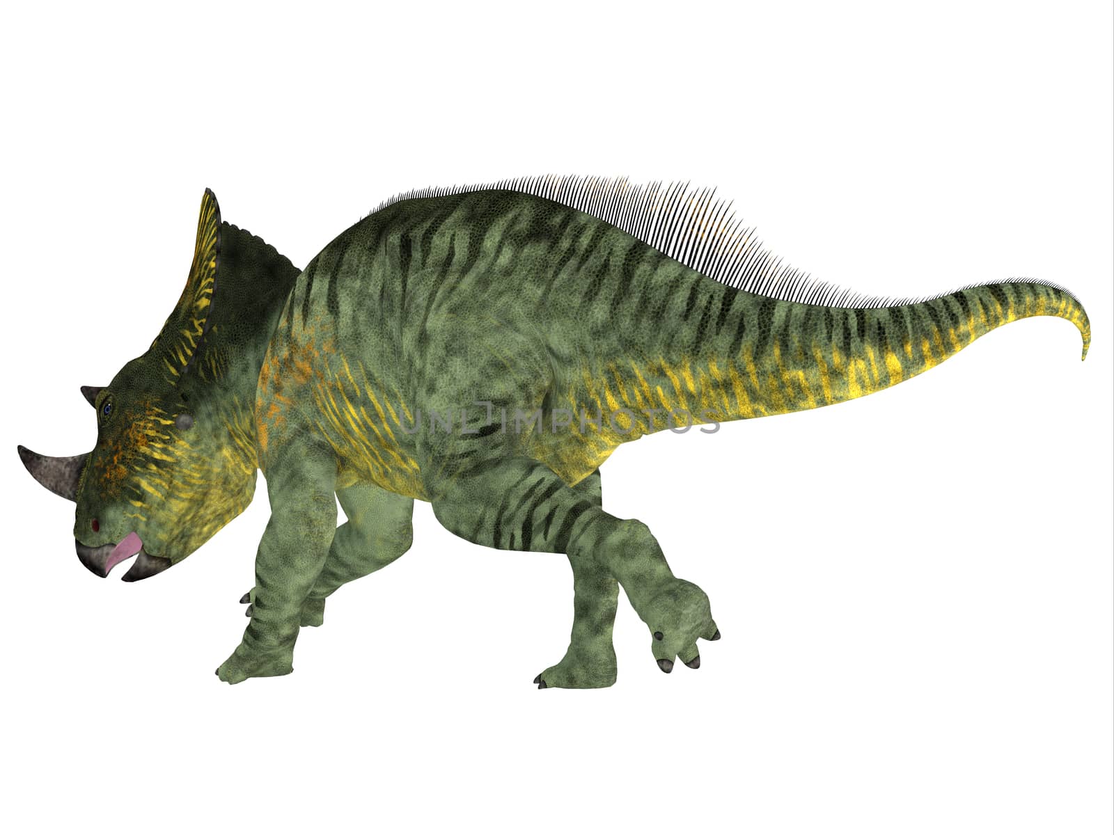 Brachyceratops Dinosaur Tail by Catmando