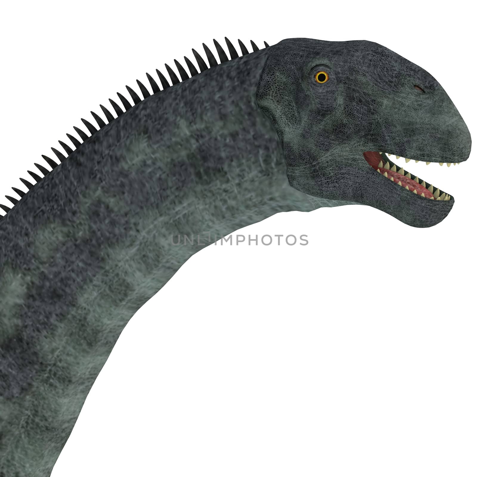 Cetiosaurus Dinosaur Head by Catmando