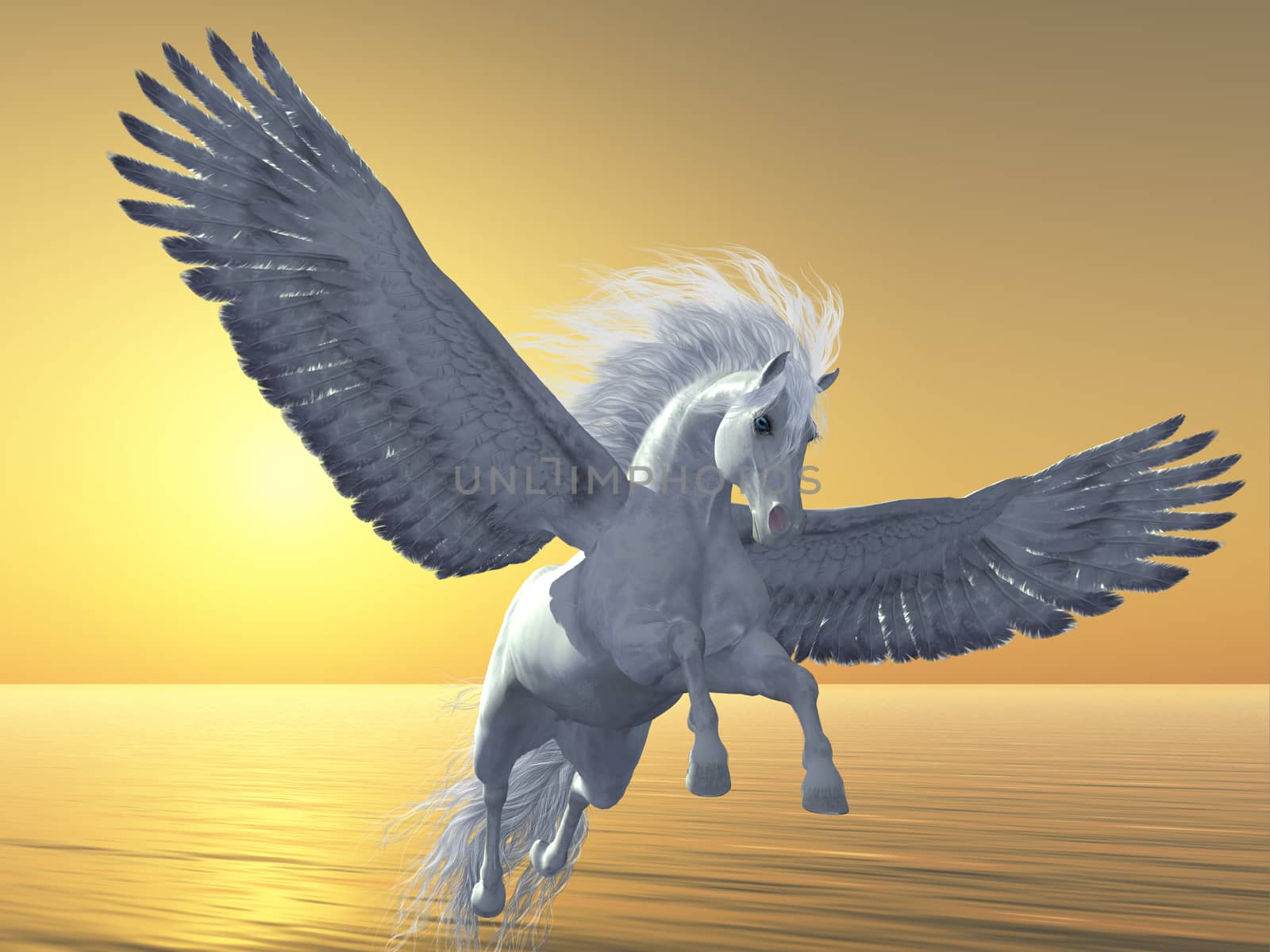 Ivory Pegasus by Catmando