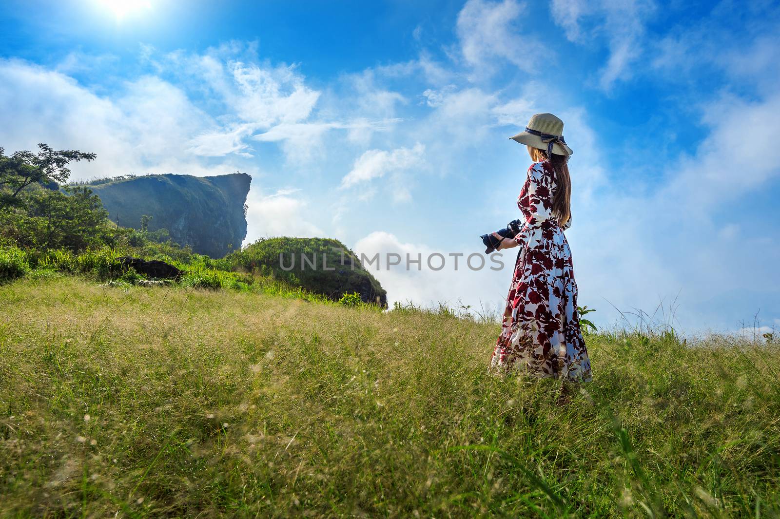 Woman standing on meadow and holding camera at Phu Chi Fa mountains in Chiangrai, Thailand. Travel concept.