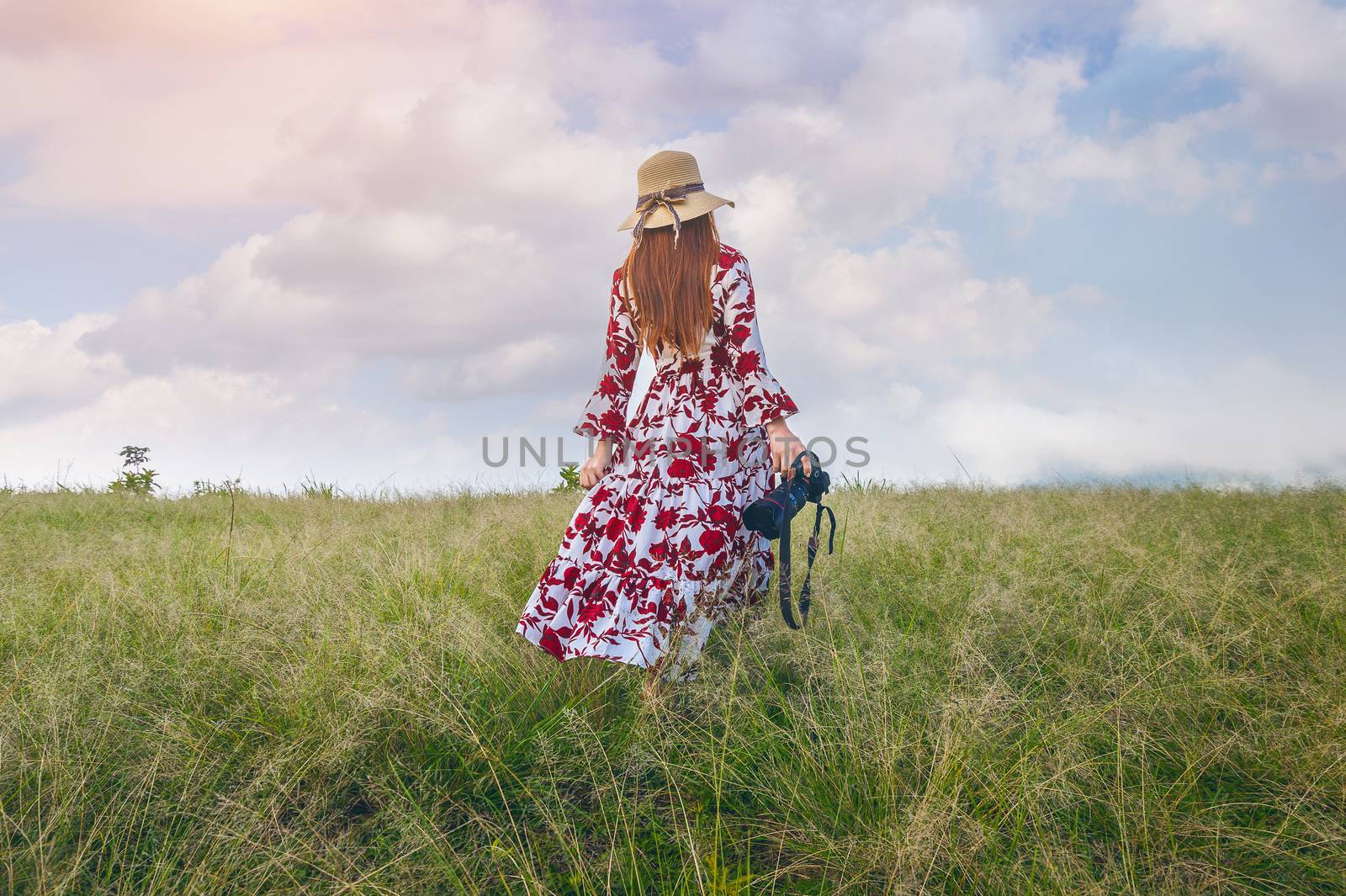 Woman standing on meadow and holding camera. Travel concept. Vintage tone. by gutarphotoghaphy