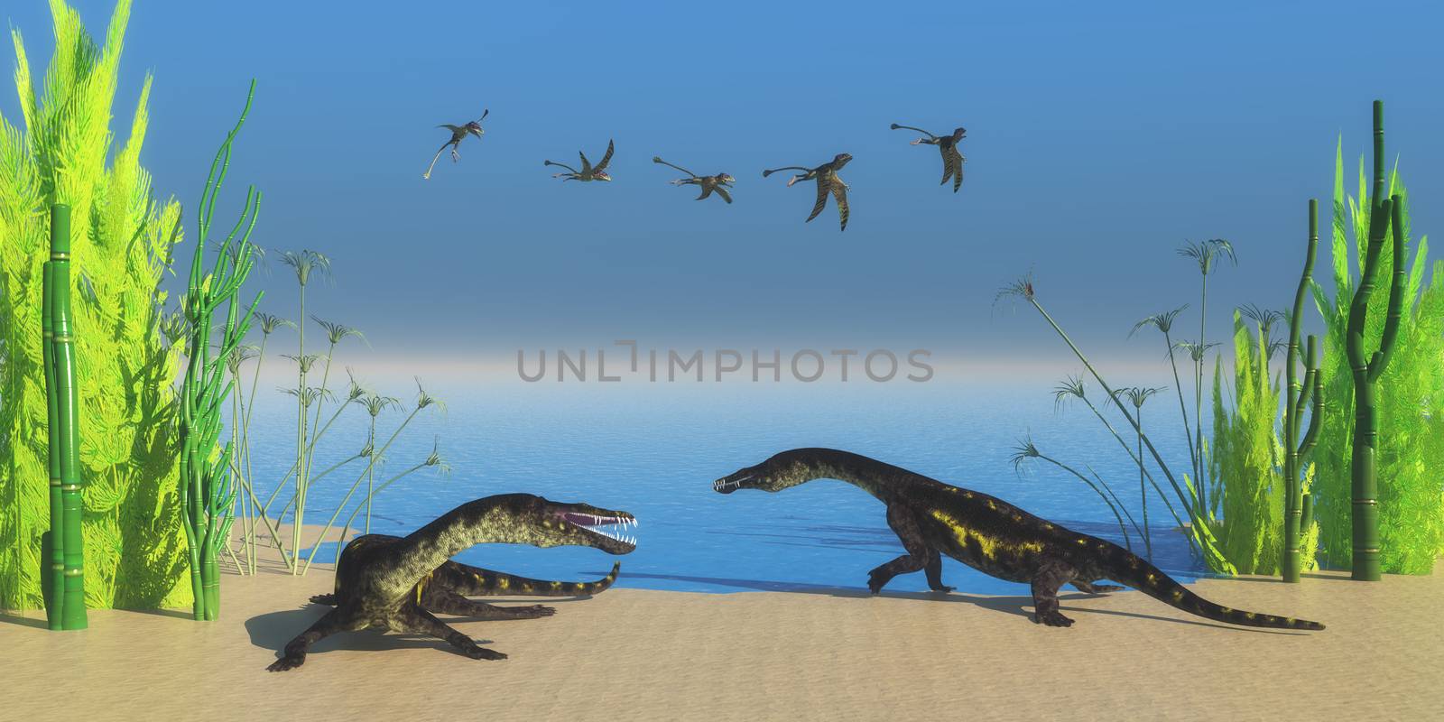 A flock of Peteinosaurus flying reptiles watch as two Nothosaurus dinosaurs growl at each other on a Triassic beach.