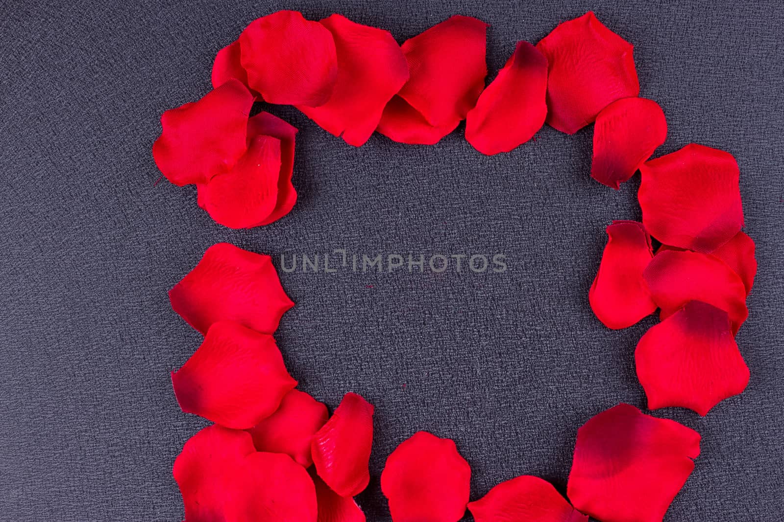 Artificial petals red roses black background frame