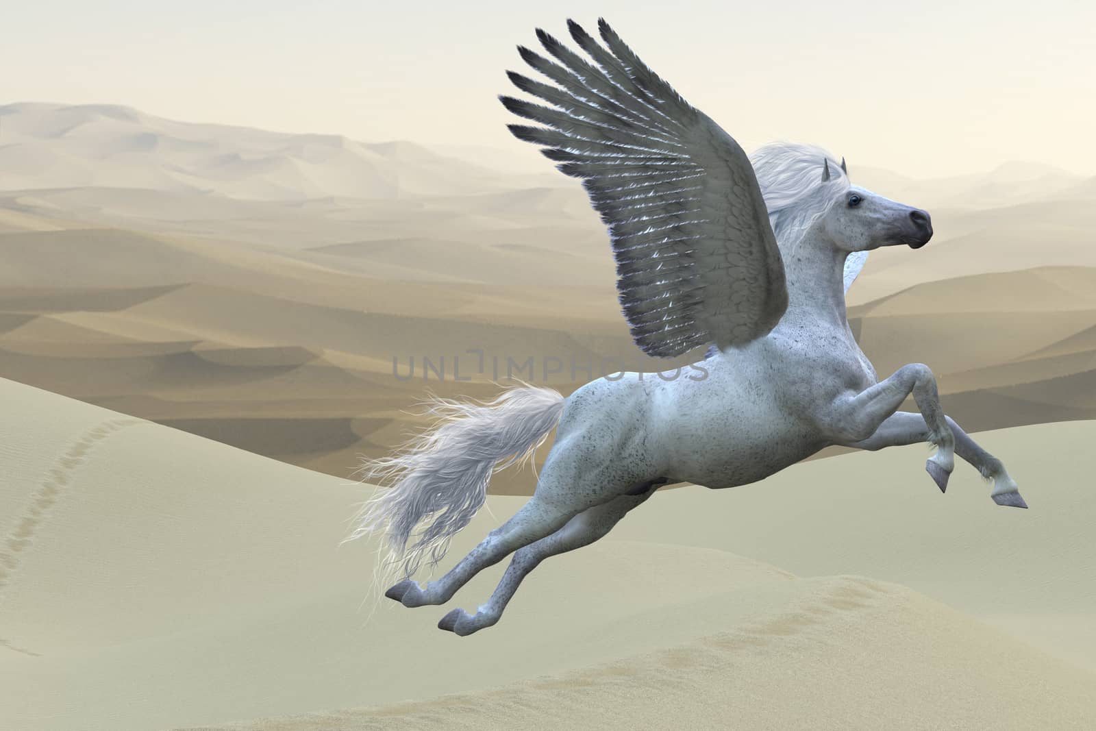 White Pegasus Horse by Catmando