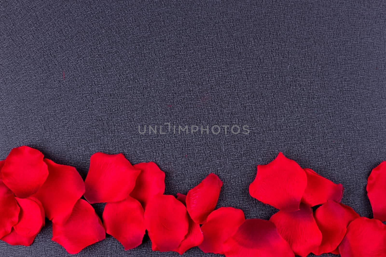 Artificial petals red roses black background frame