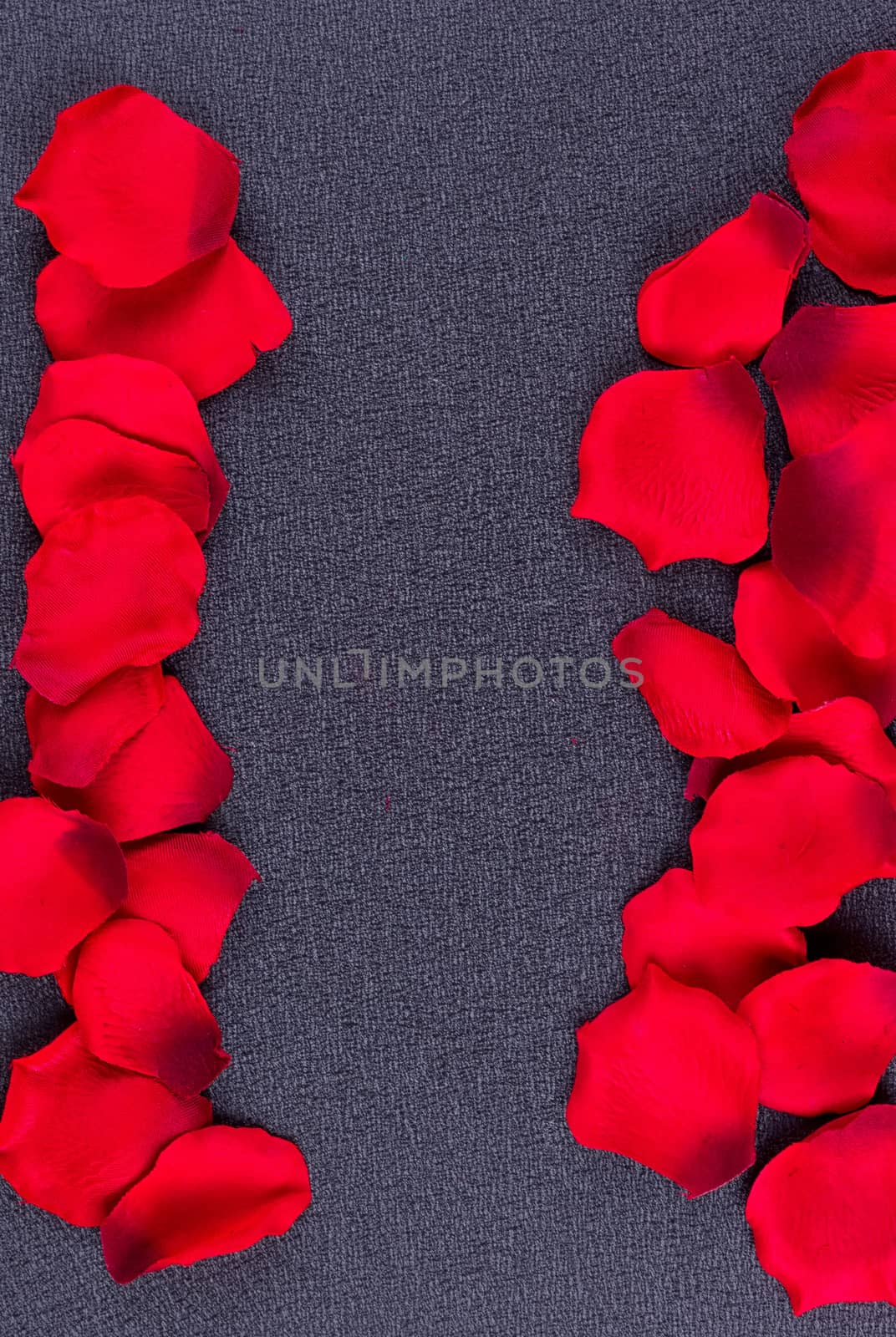 Artificial petals red roses black background frame