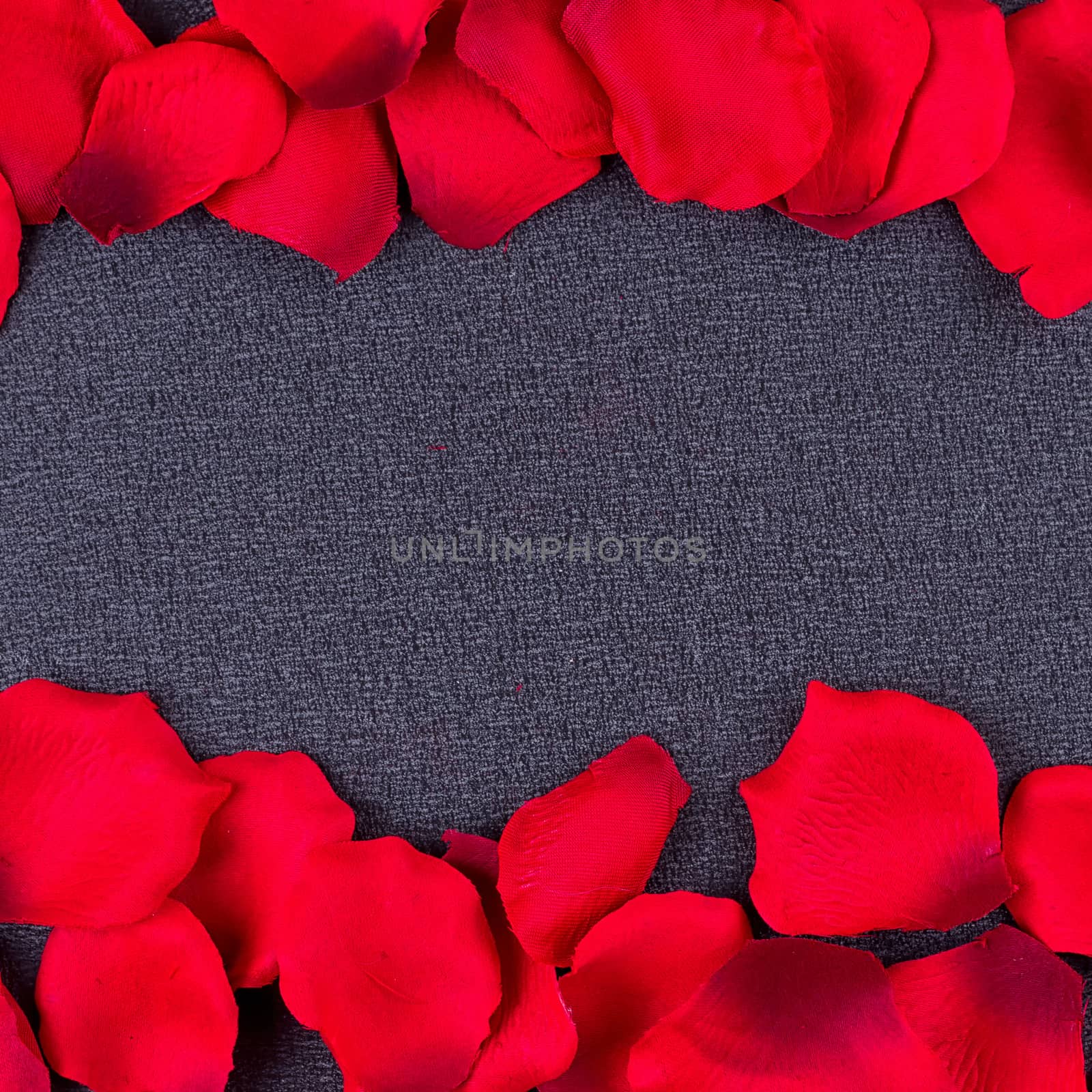 Artificial petals red roses black background frame