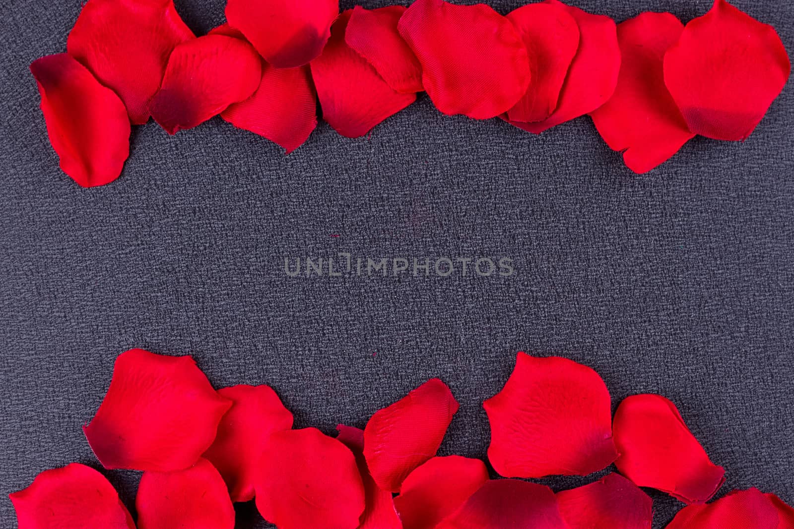Artificial petals red roses black background frame