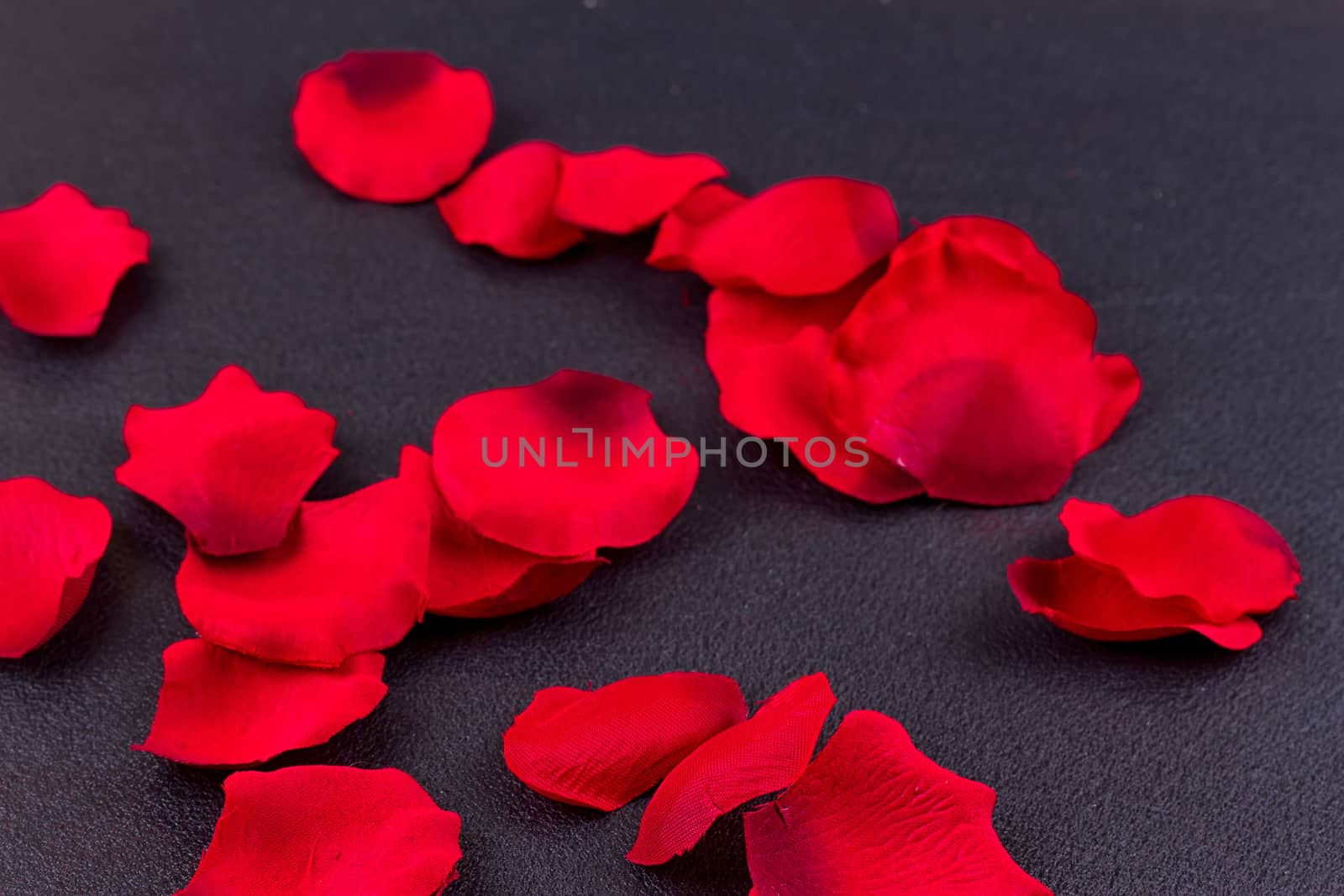 Artificial petals red roses black background frame